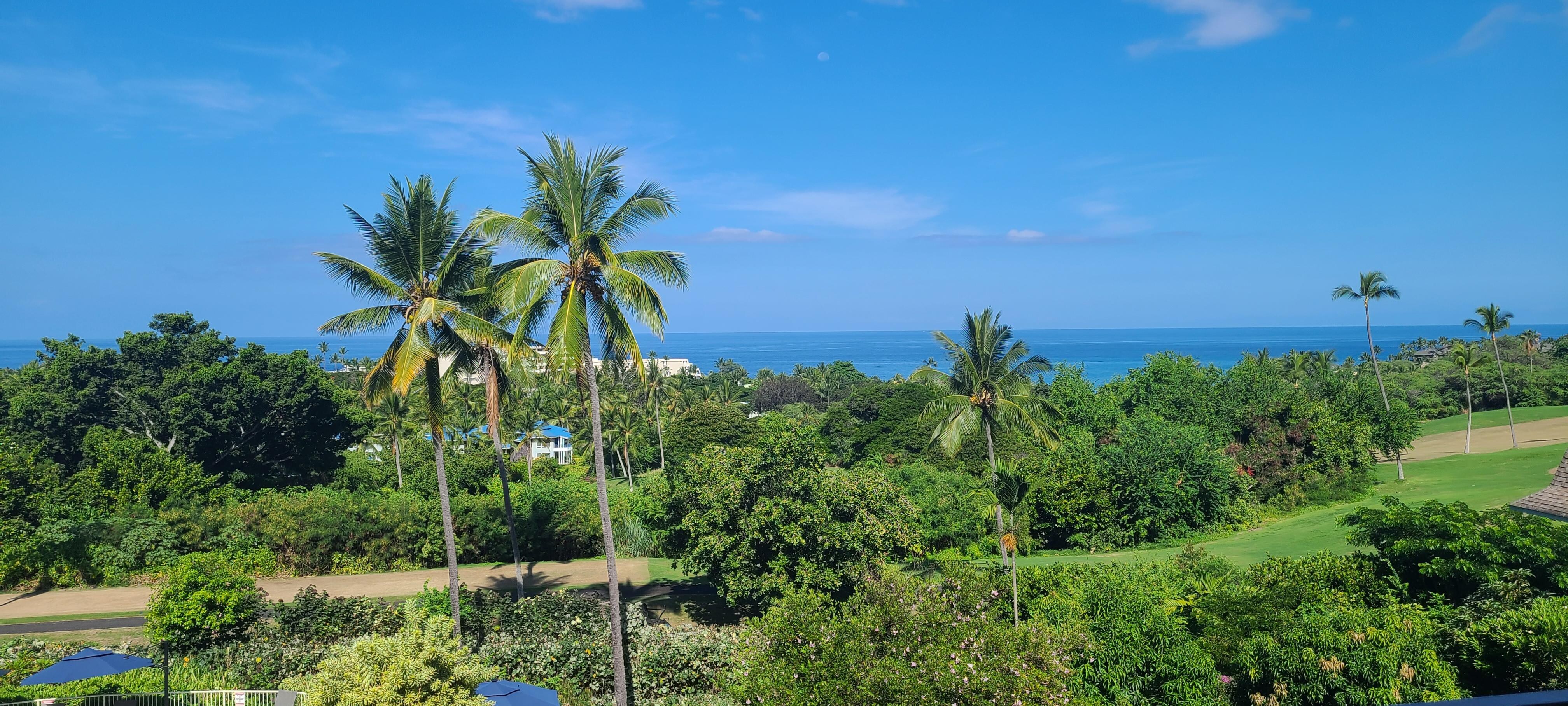 Lanai view