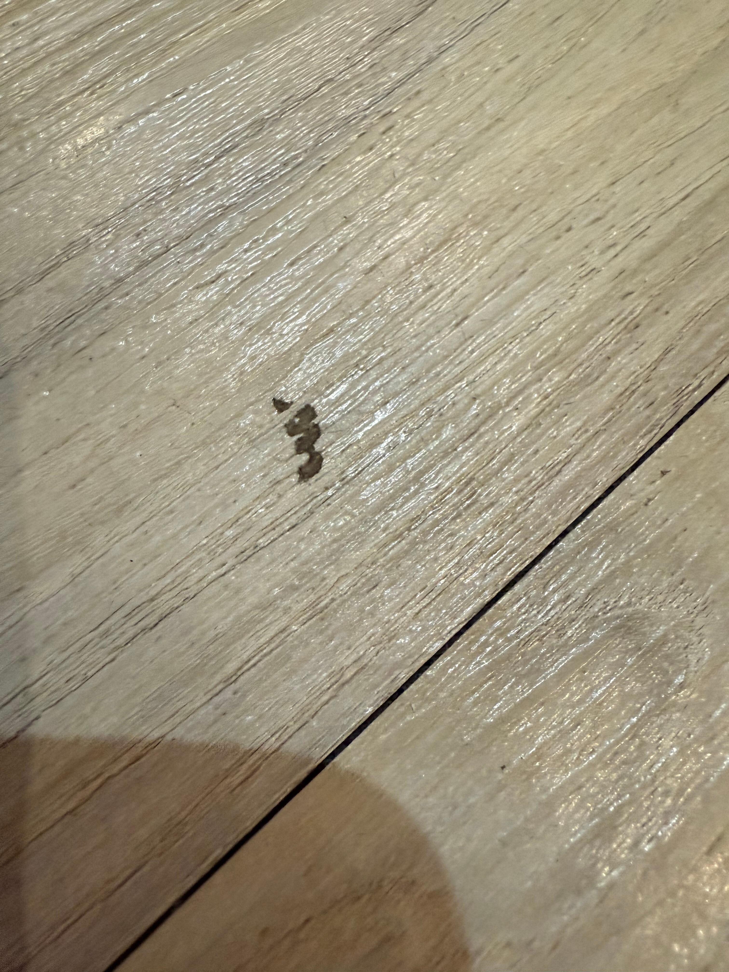 掃除が十分ではない