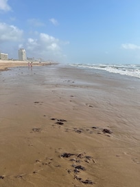 The beach