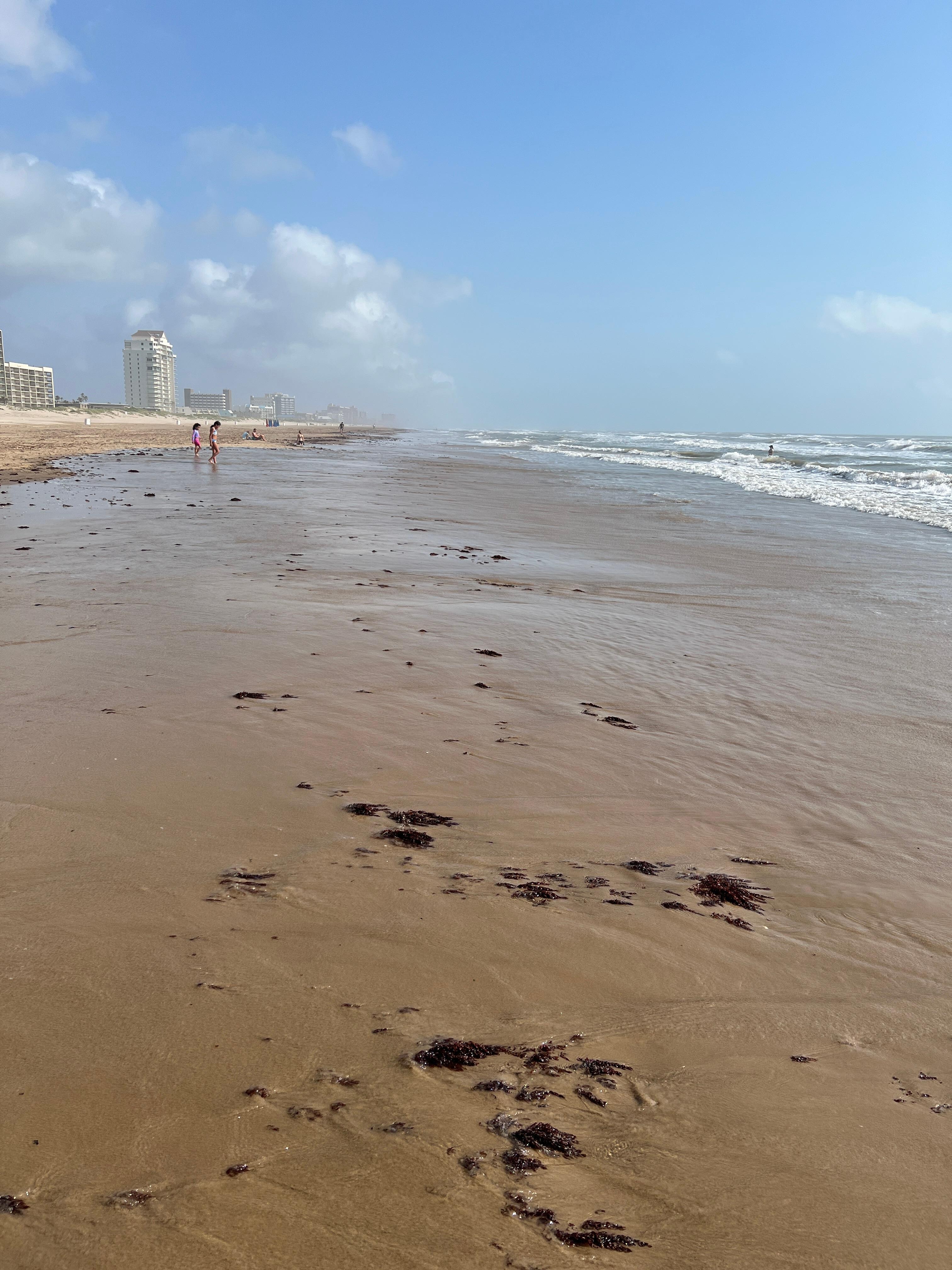 The beach