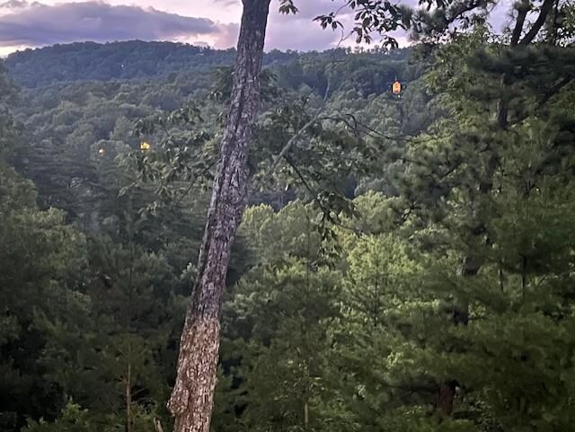 View from back porch