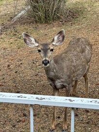 Right out the back door!