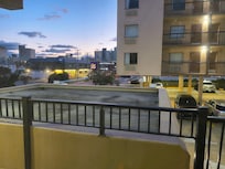 The window view