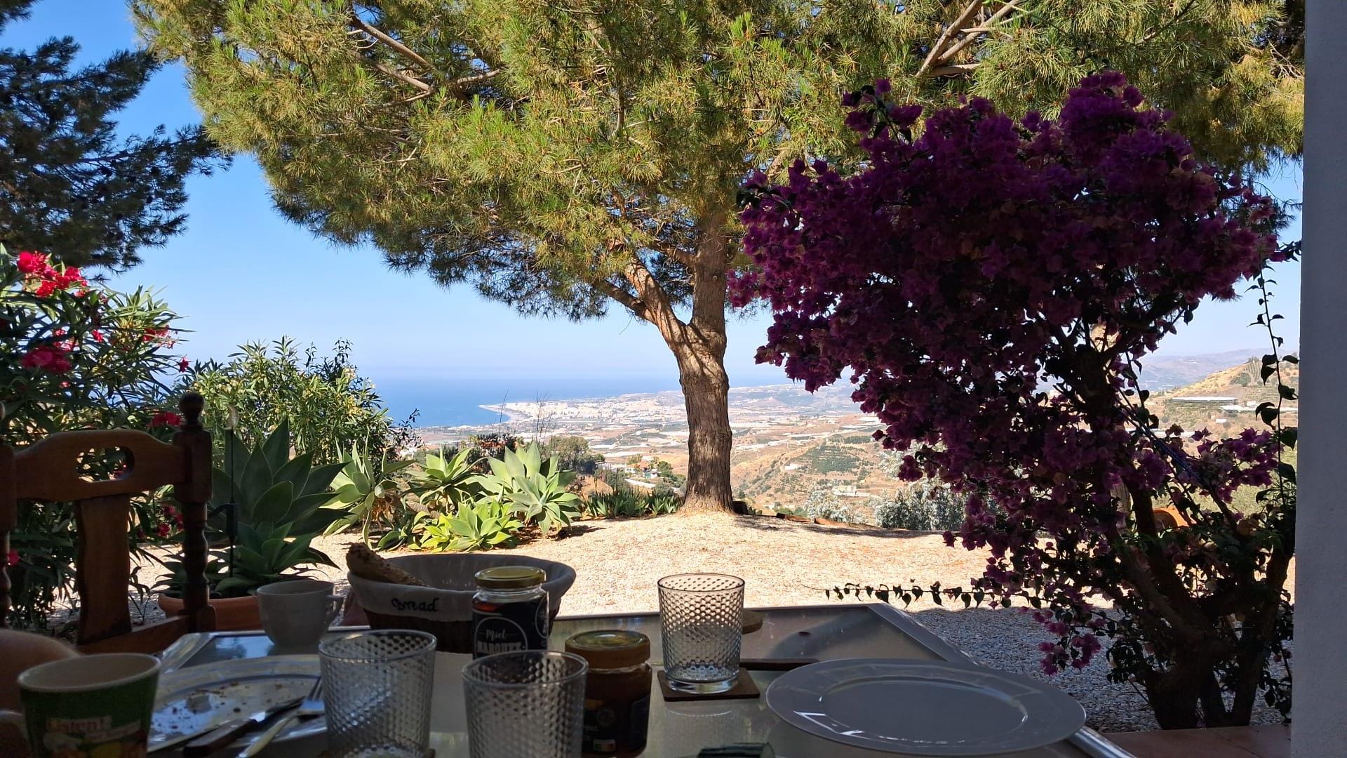 Blick beim Frühstück