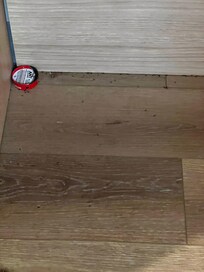Ants everywhere in room very terrible my kids couldn’t sleep whole night