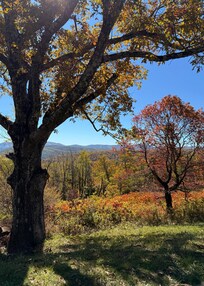 Blue Ridge Parkway