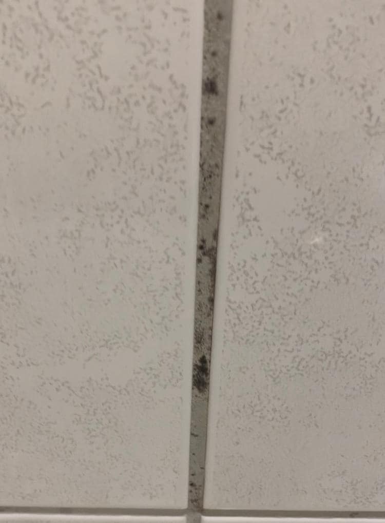 Another part of the dirty shower wall