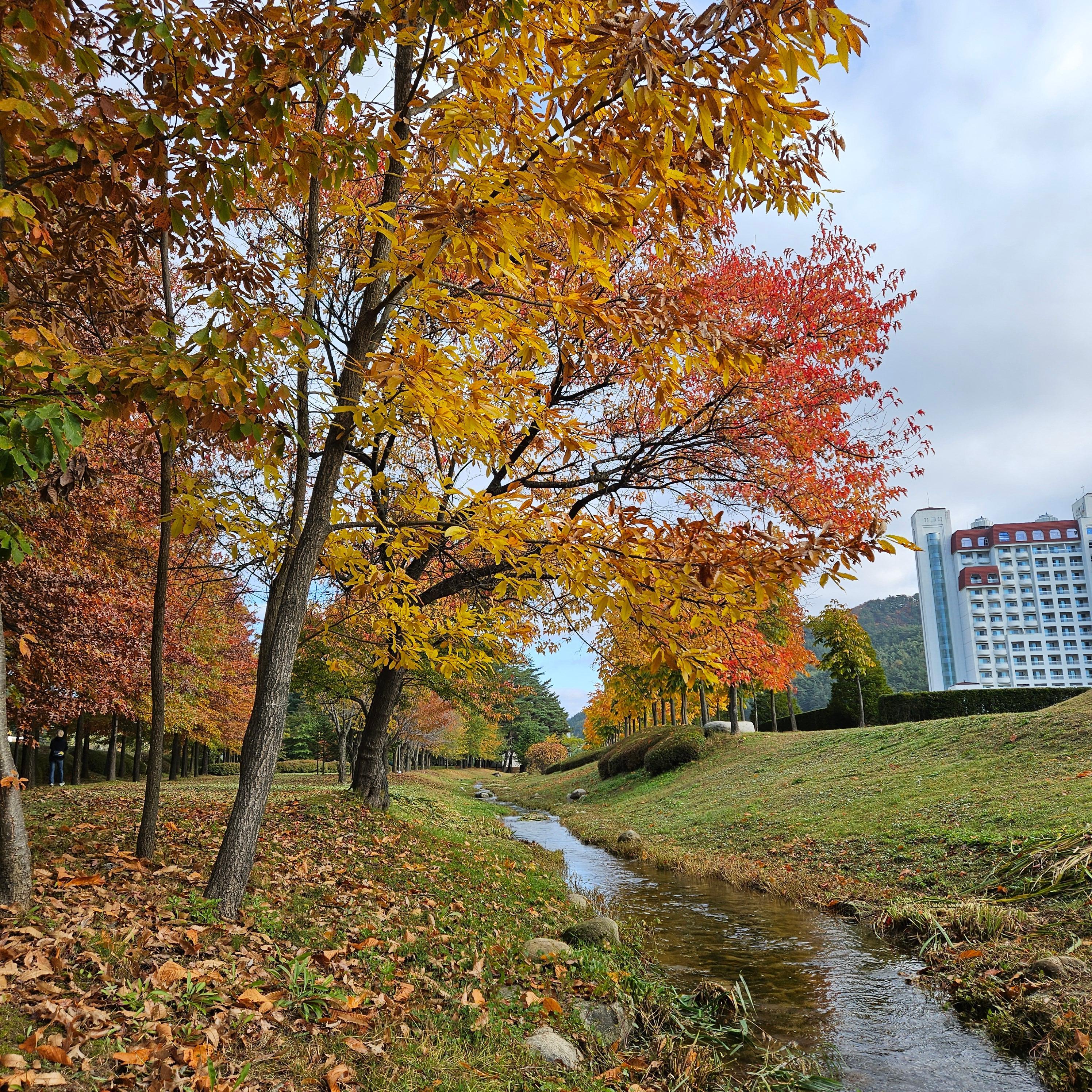 Hotel garden