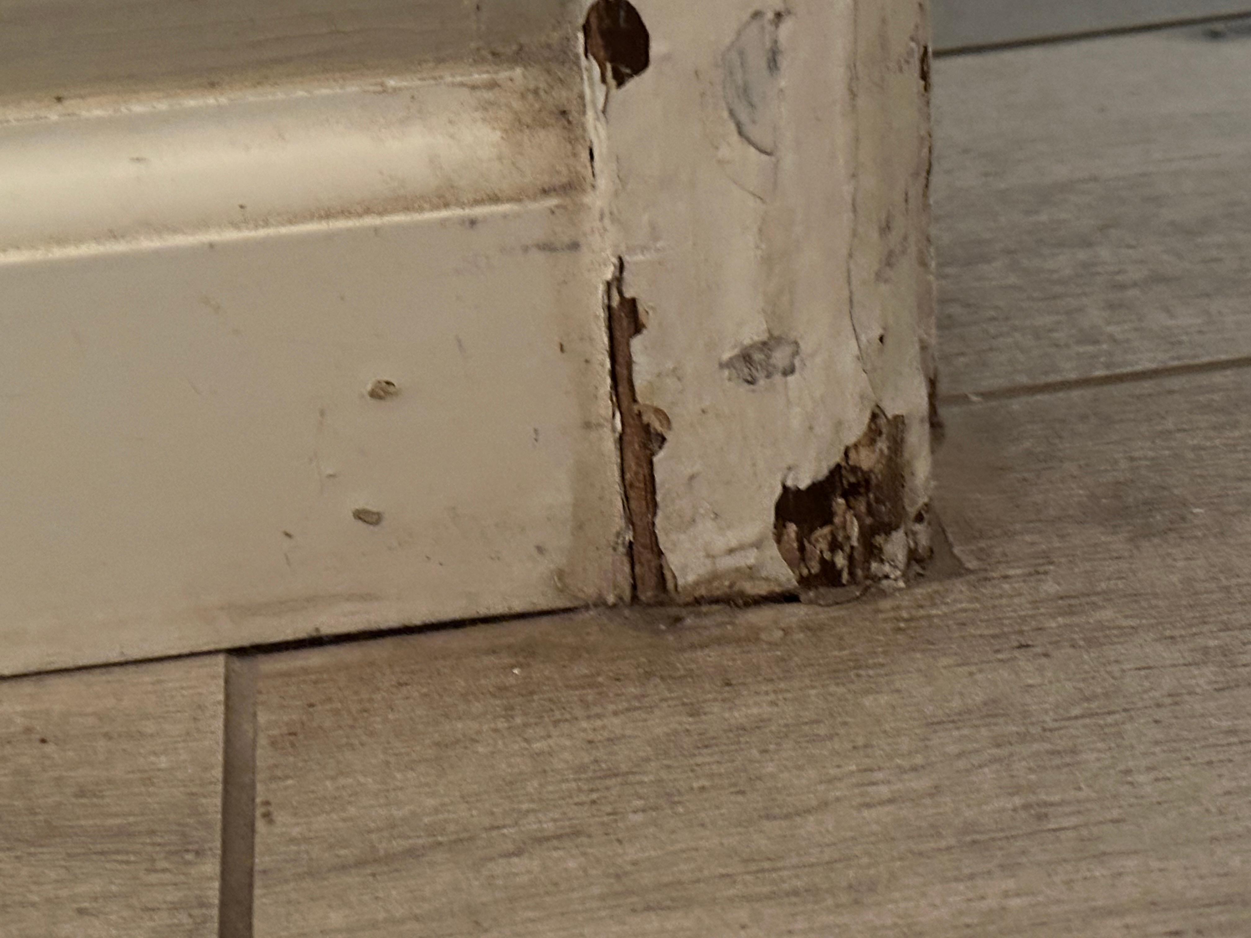 Rotten bathroom moulding