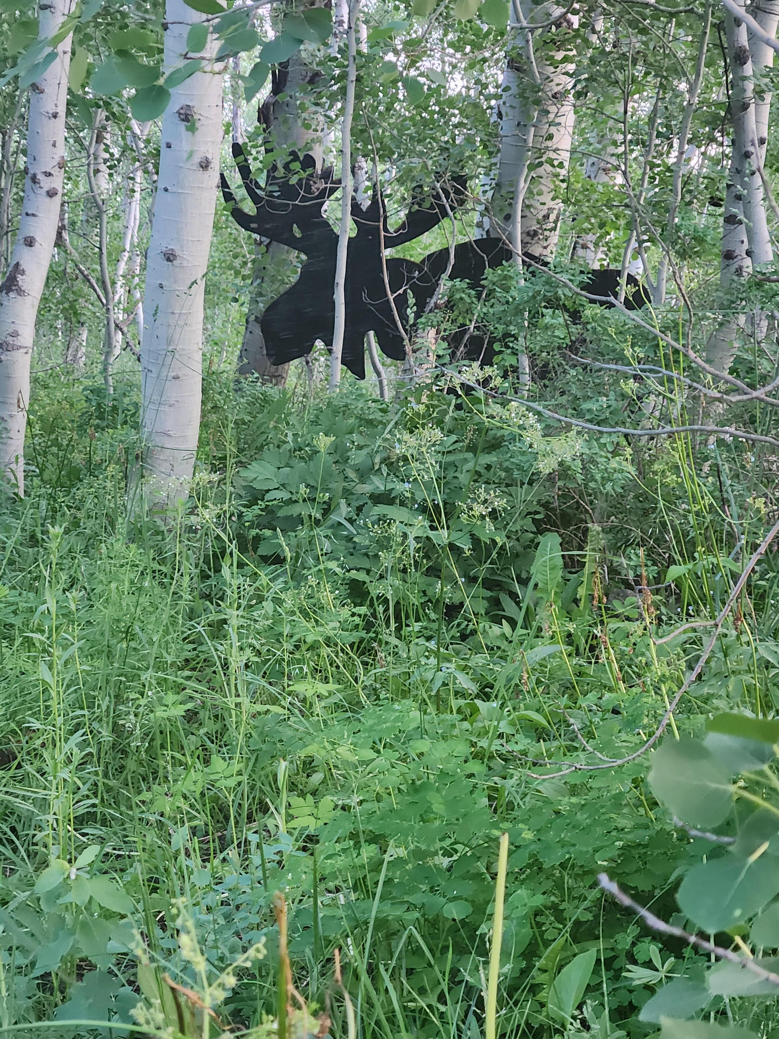 Watch out for the moose in the yard!