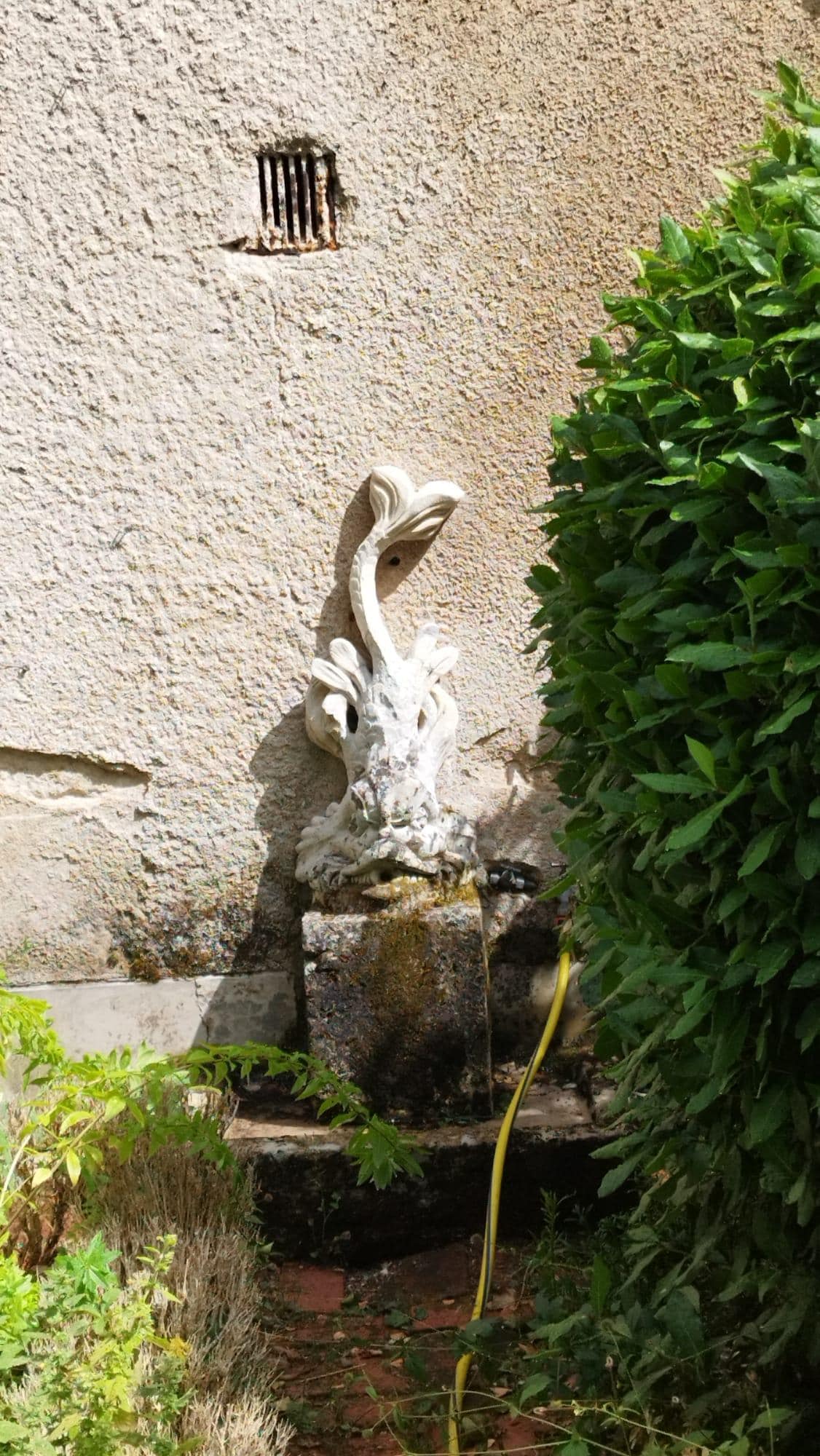 La fontaine du jardin