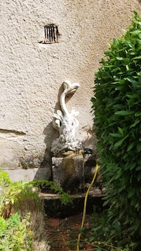 La fontaine du jardin