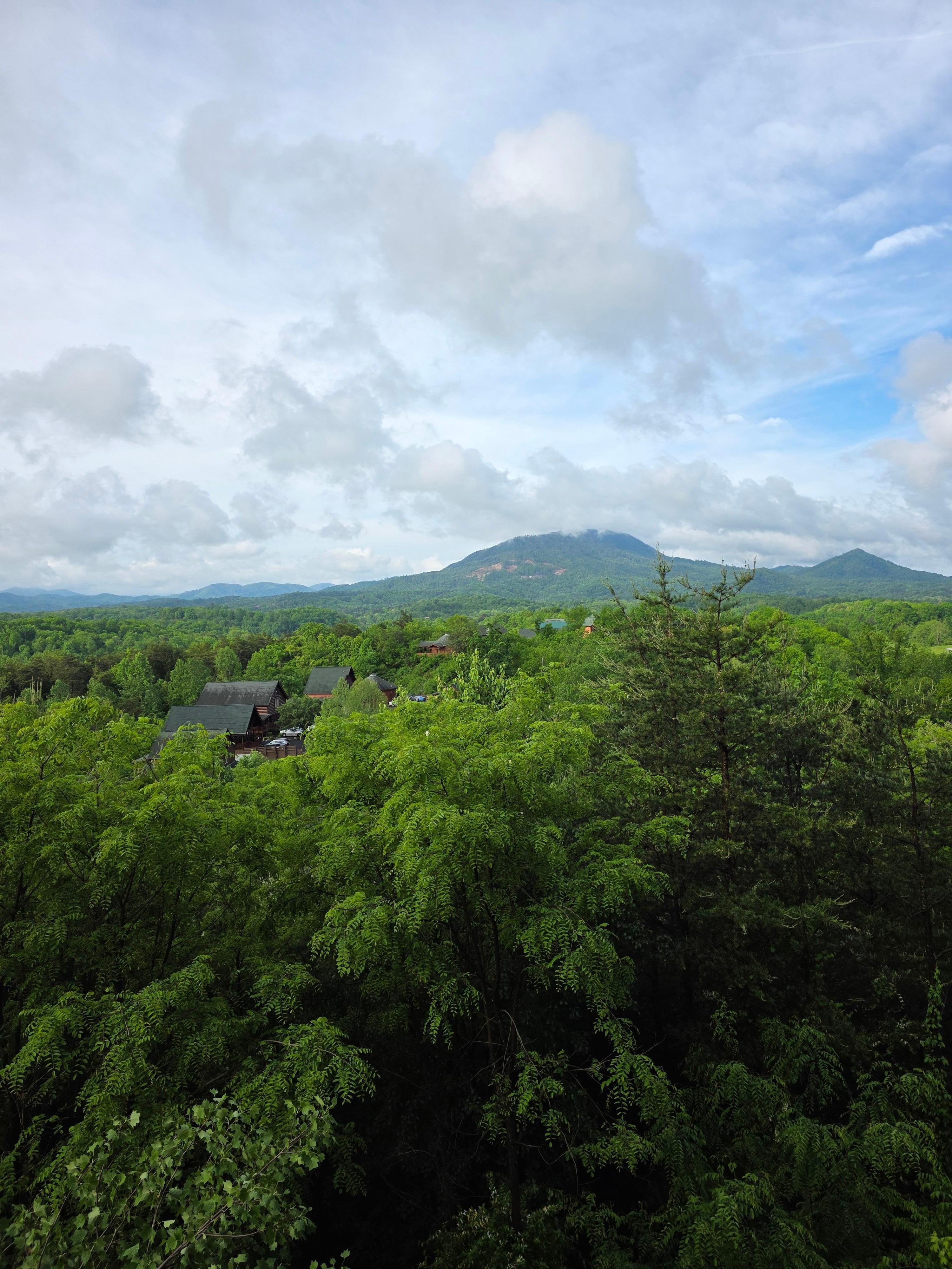 View from cabin back porch!
