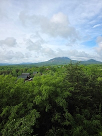View from cabin back porch!