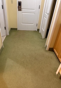 Carpet in the room dirty and gross