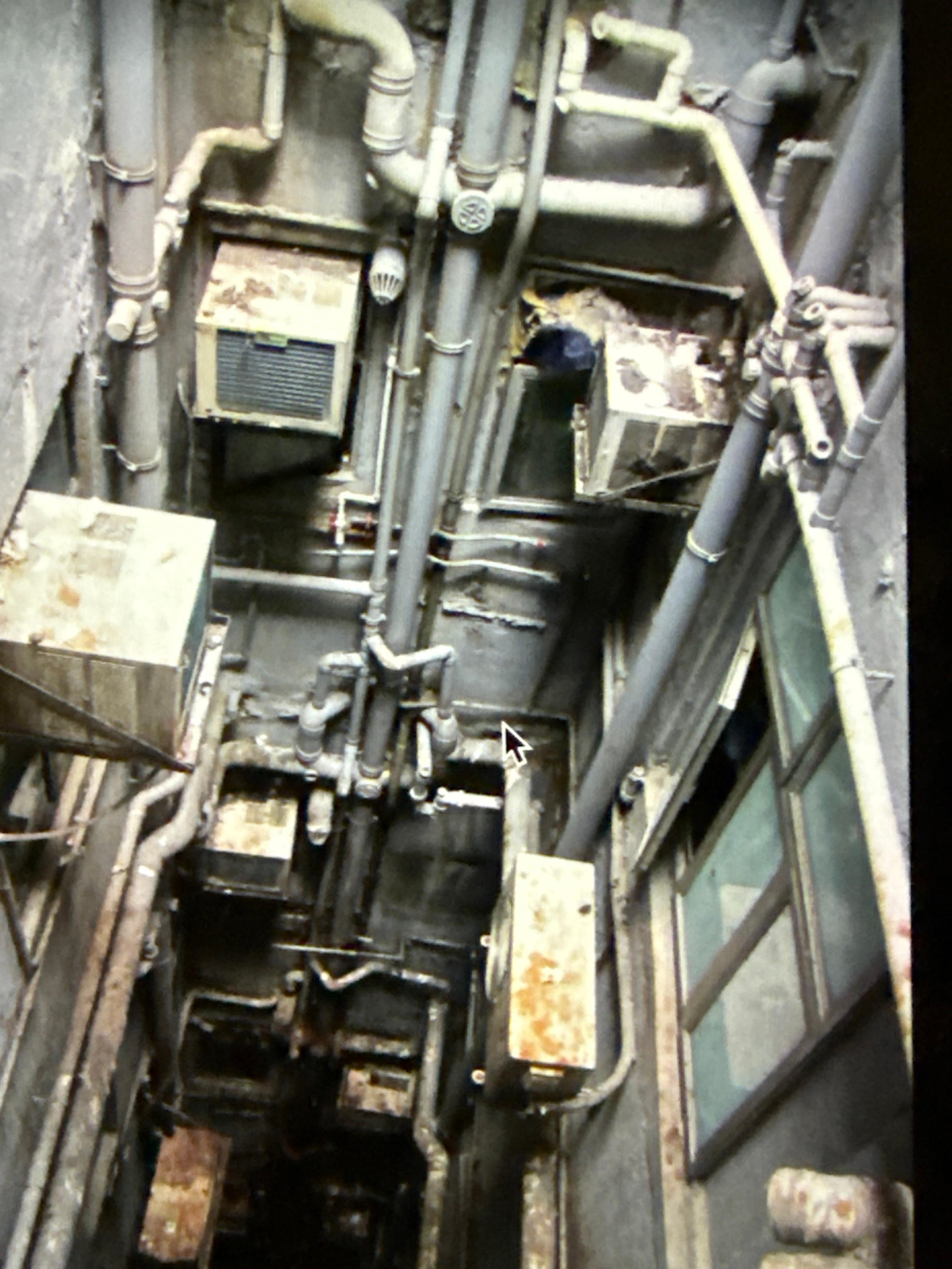 View by elevators WITH STRONG FOUL SMELL!