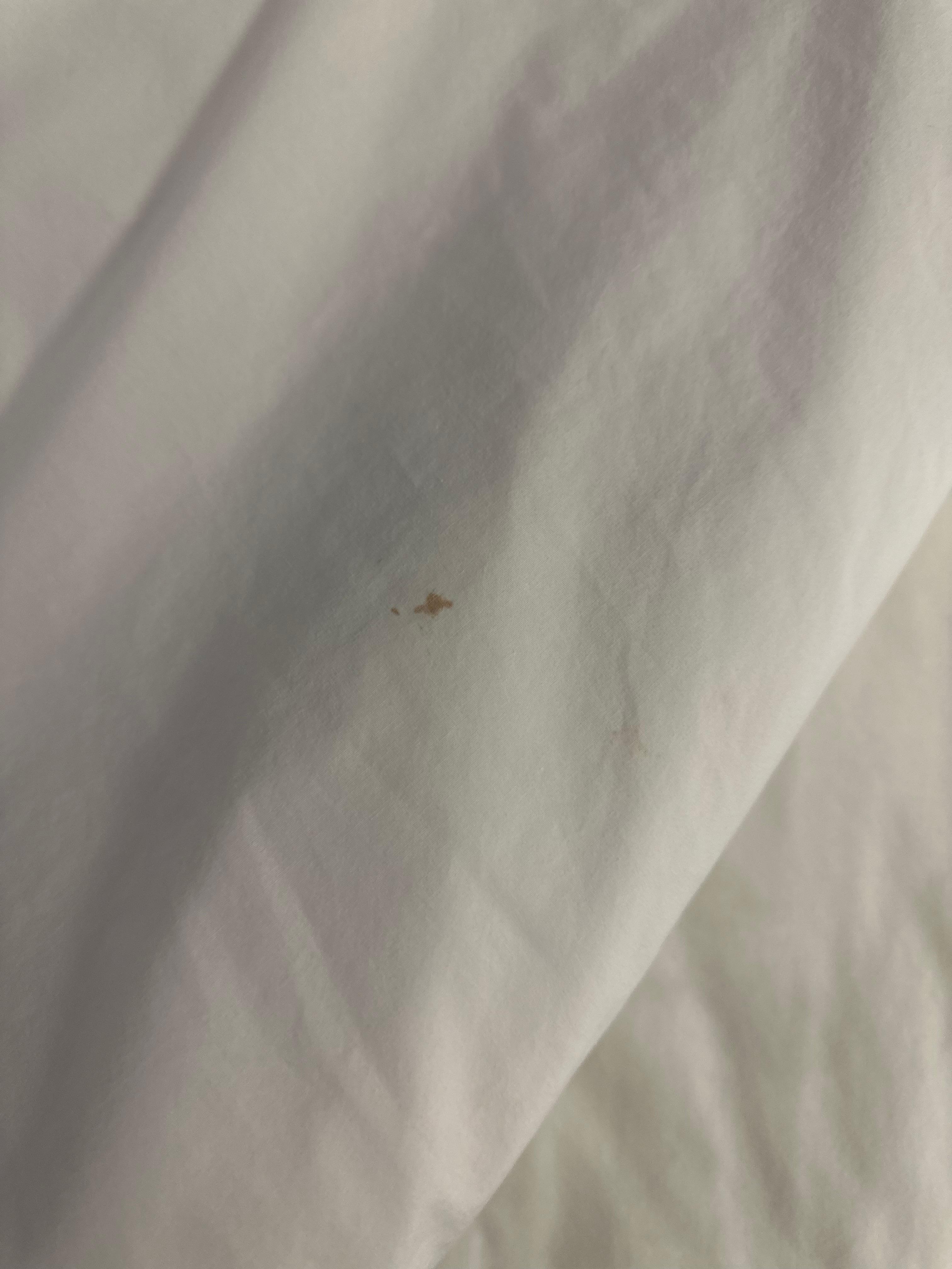Blood stained sheets