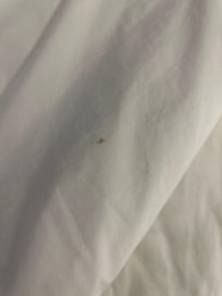 Blood stained sheets