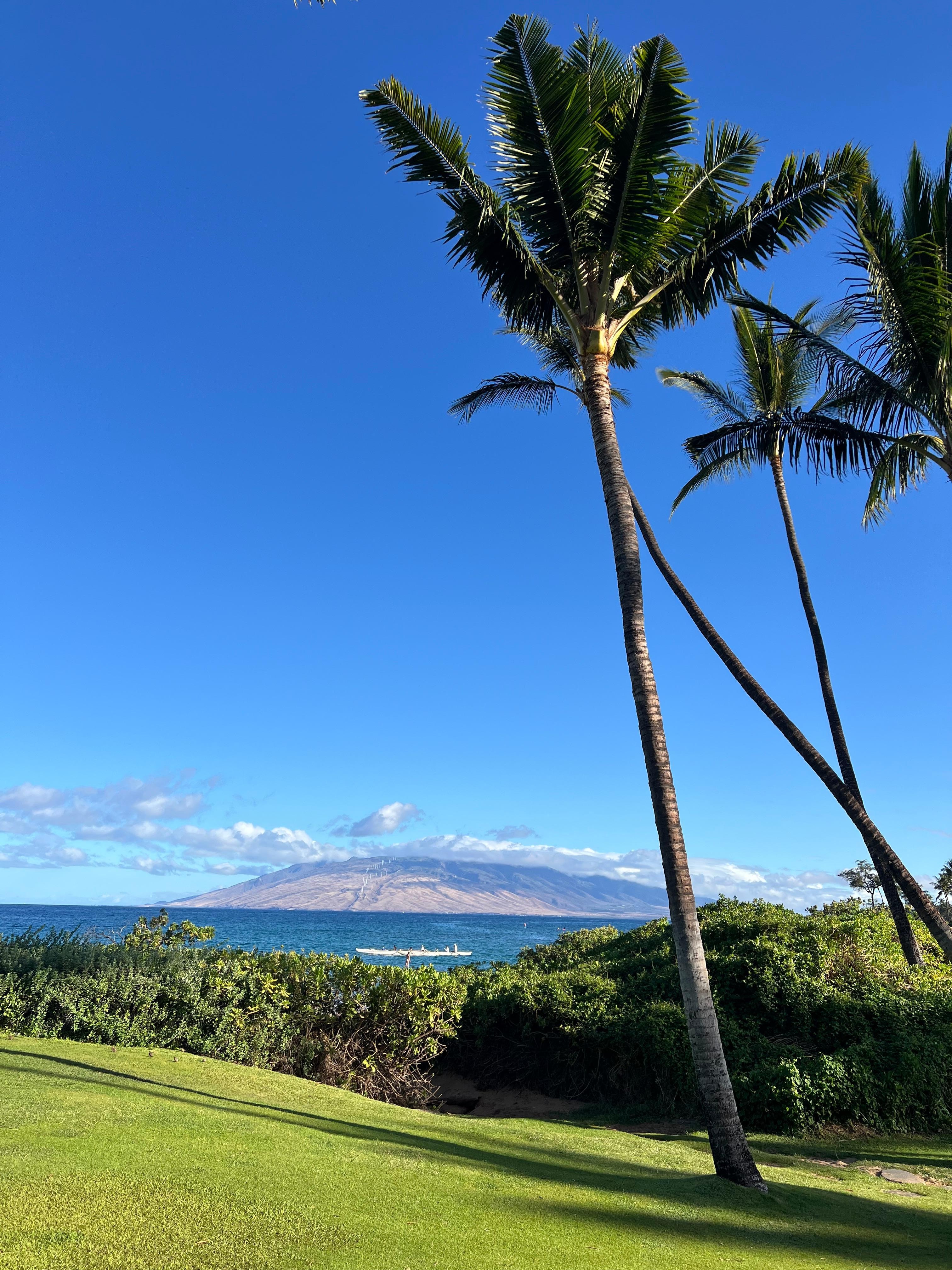 The beach walk has some
Lovely views 