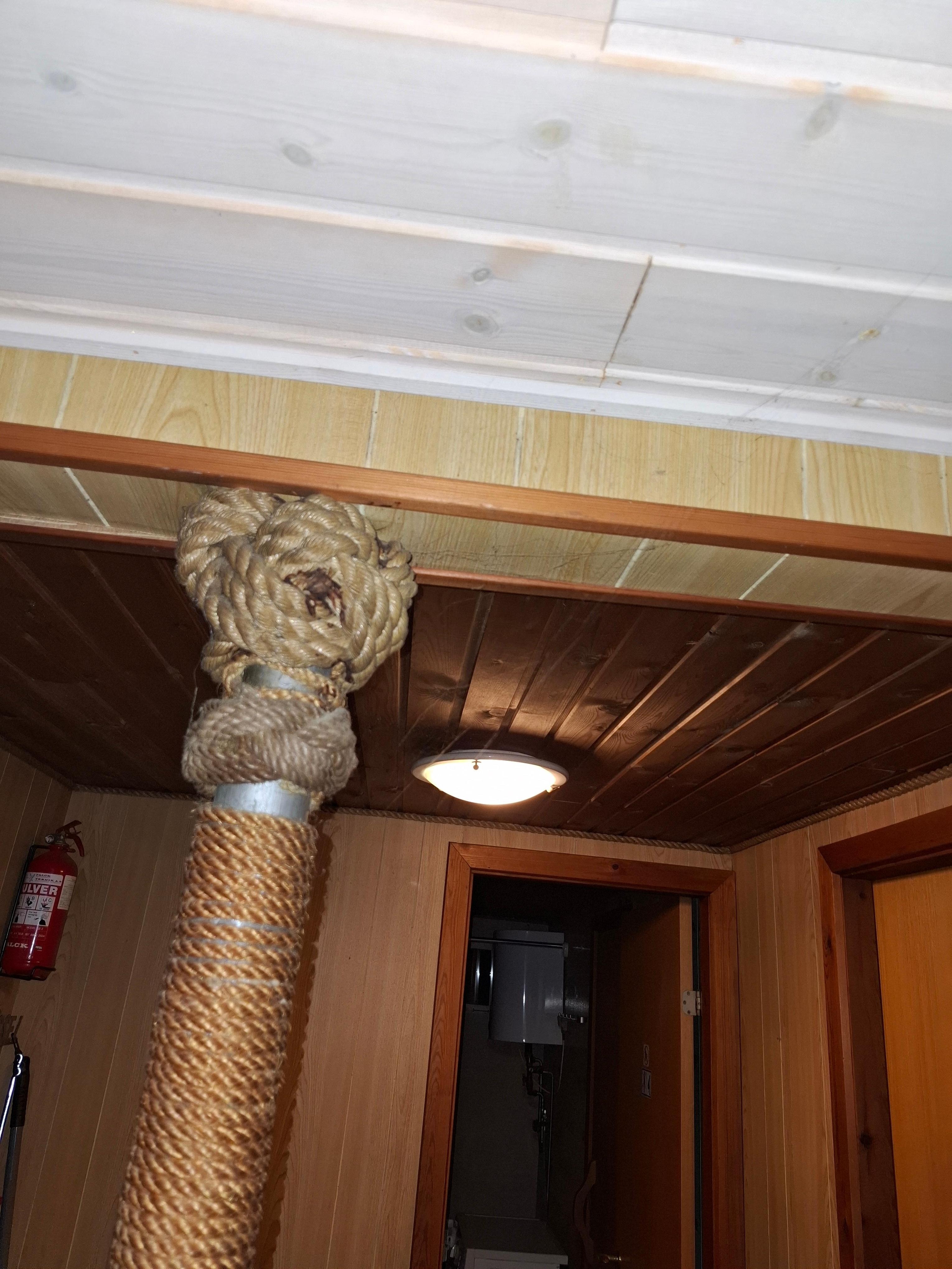 Spinnenweben überall...