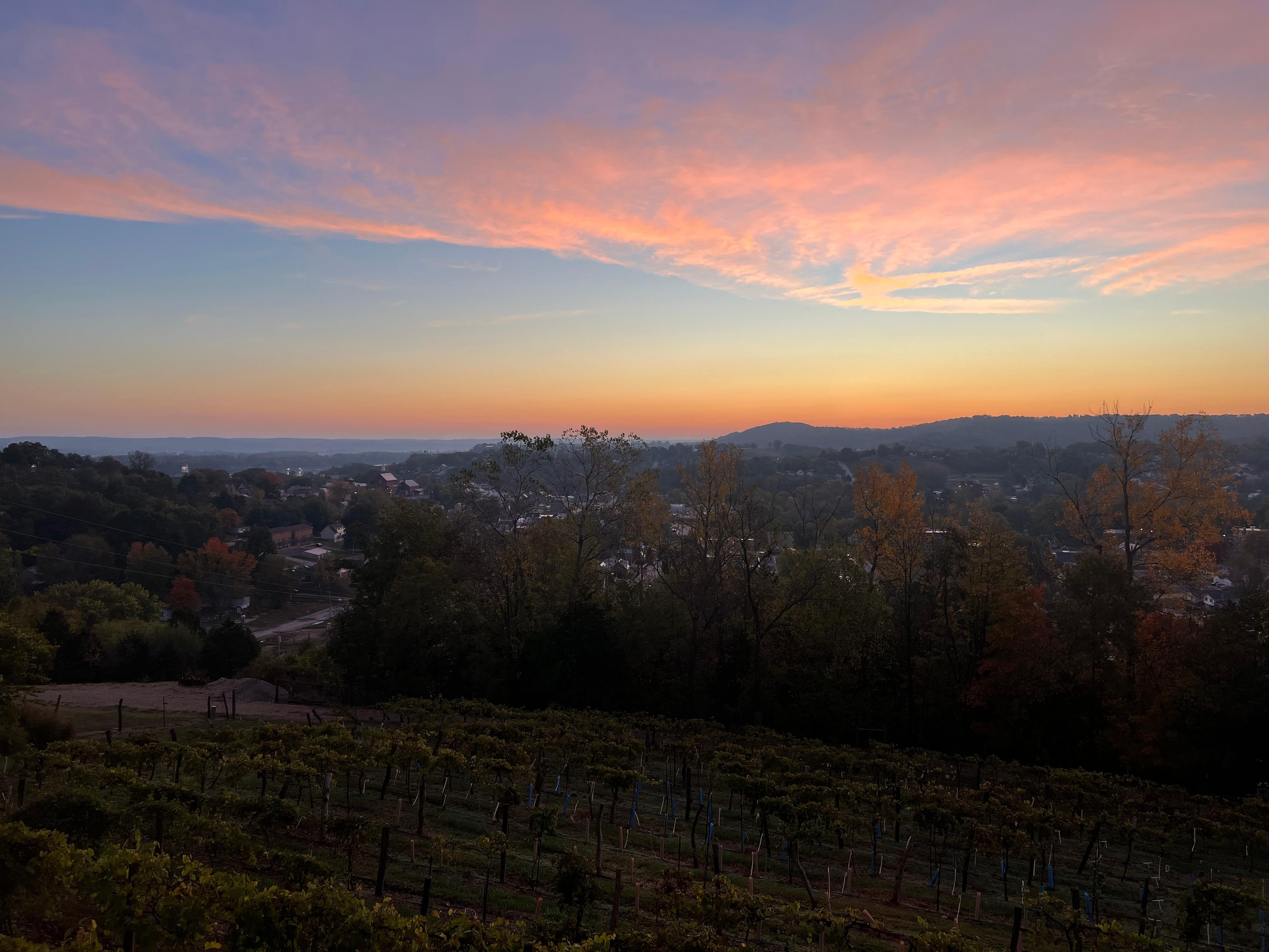 What you wake up to!