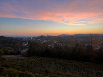 What you wake up to!