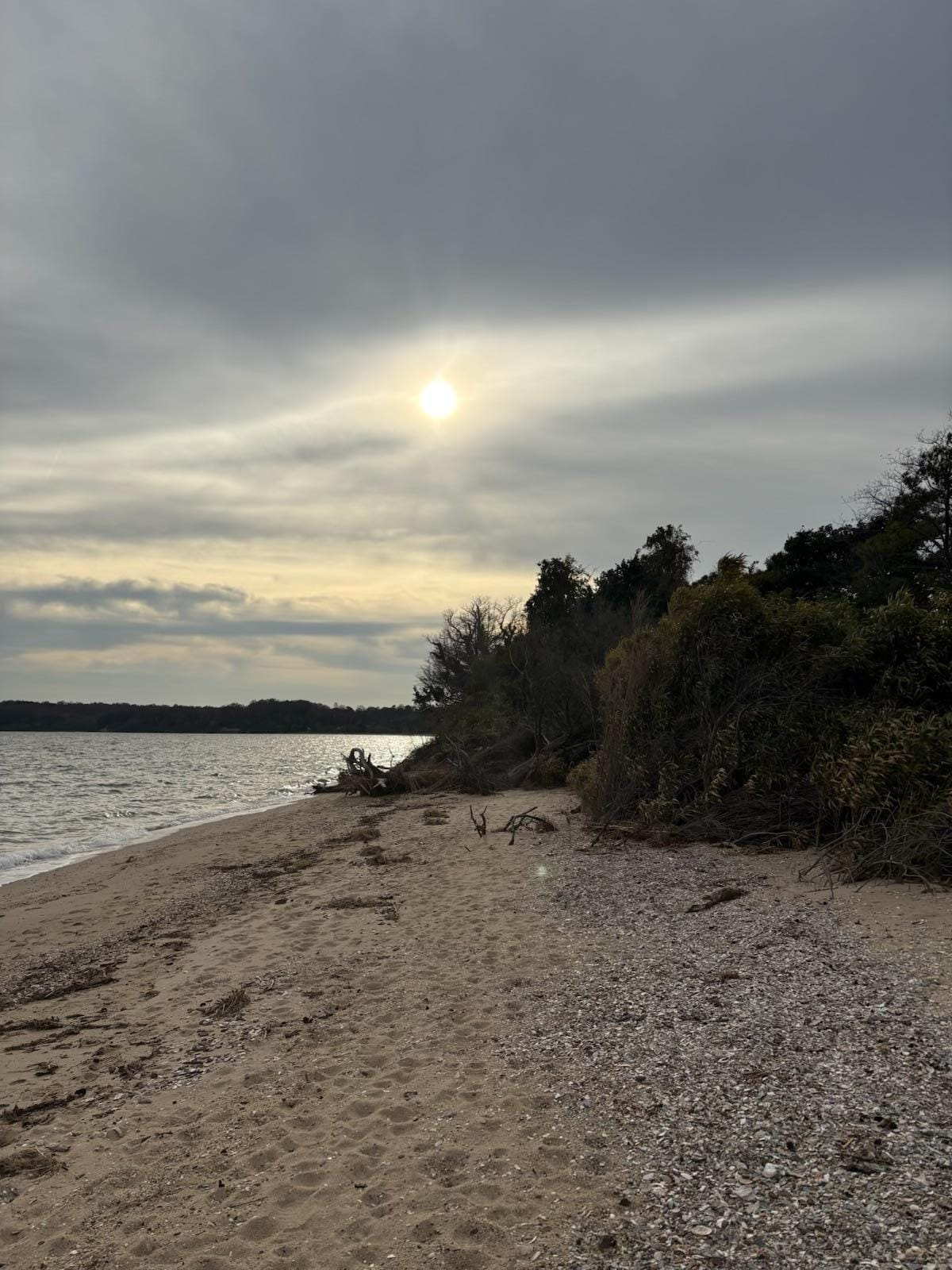 Just a beautiful walk on the beach