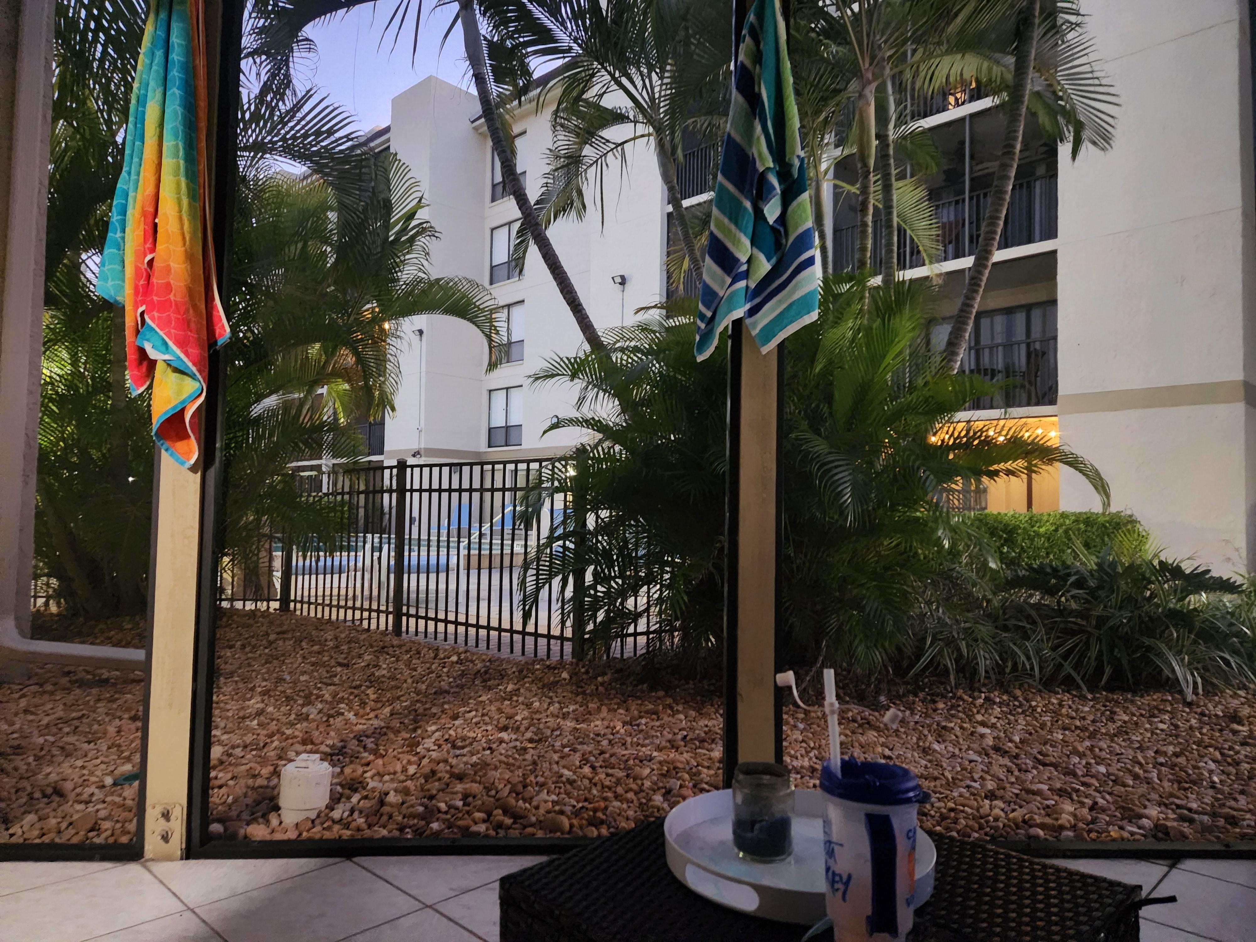 View from Screened porch