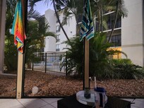 View from Screened porch