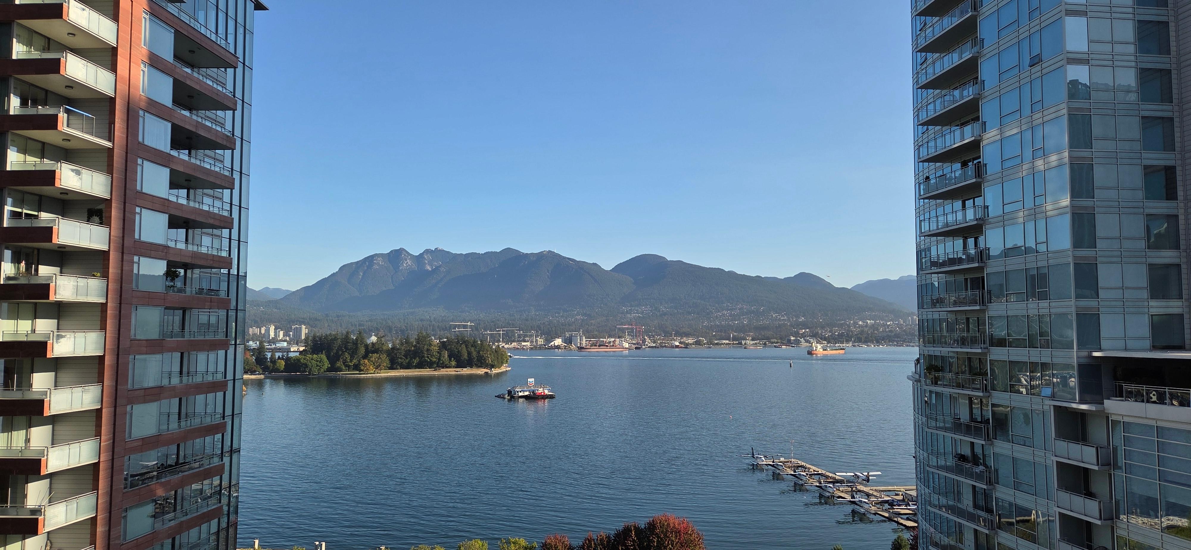 The view all day long...