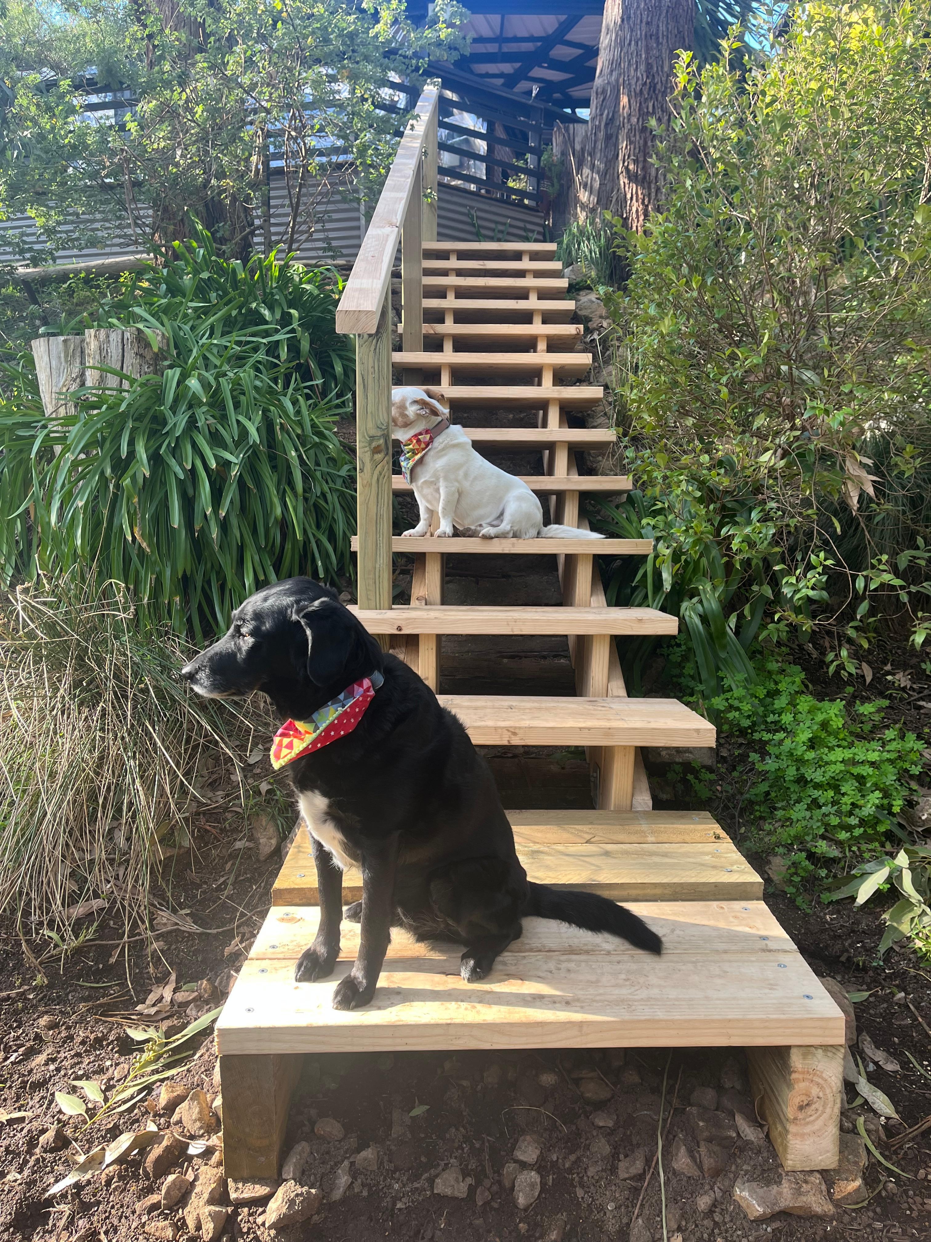 Brand new stairs!