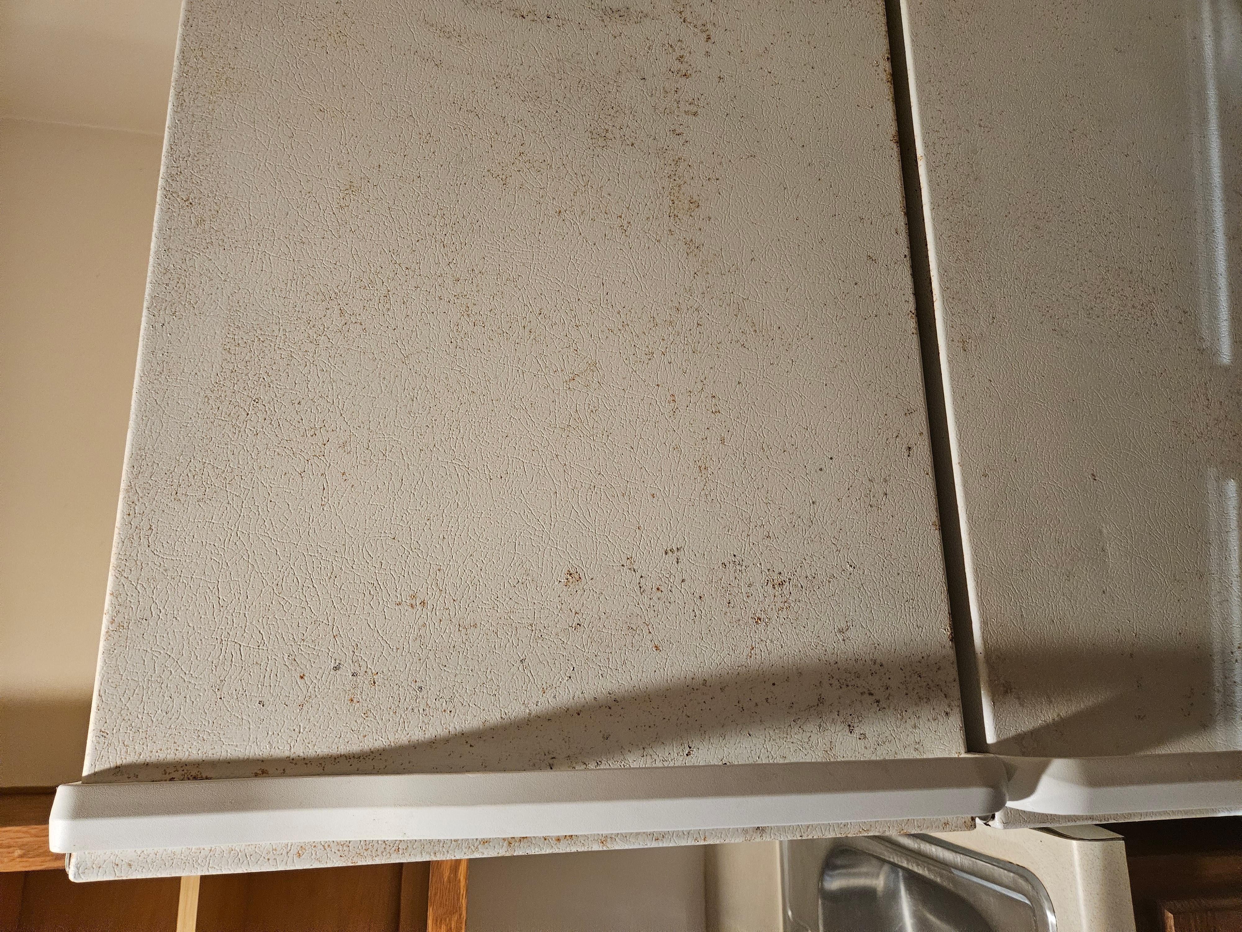 Brown exterior of fridge: mold, rust, dirt. I had to use napkins to open the fridge door. Looked like fridge was bought from scratch and dent appliance store.