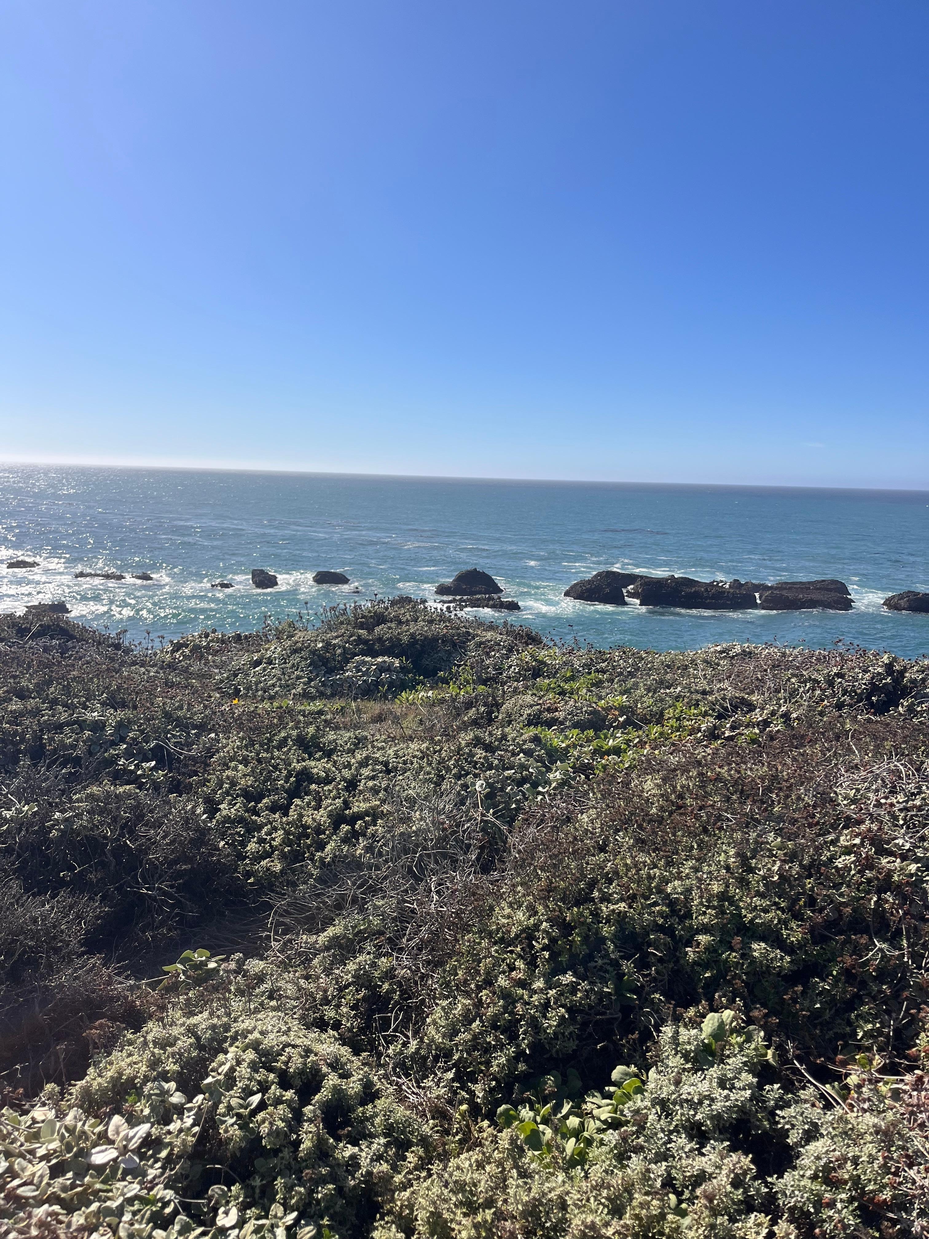 Hiking along coastline.
