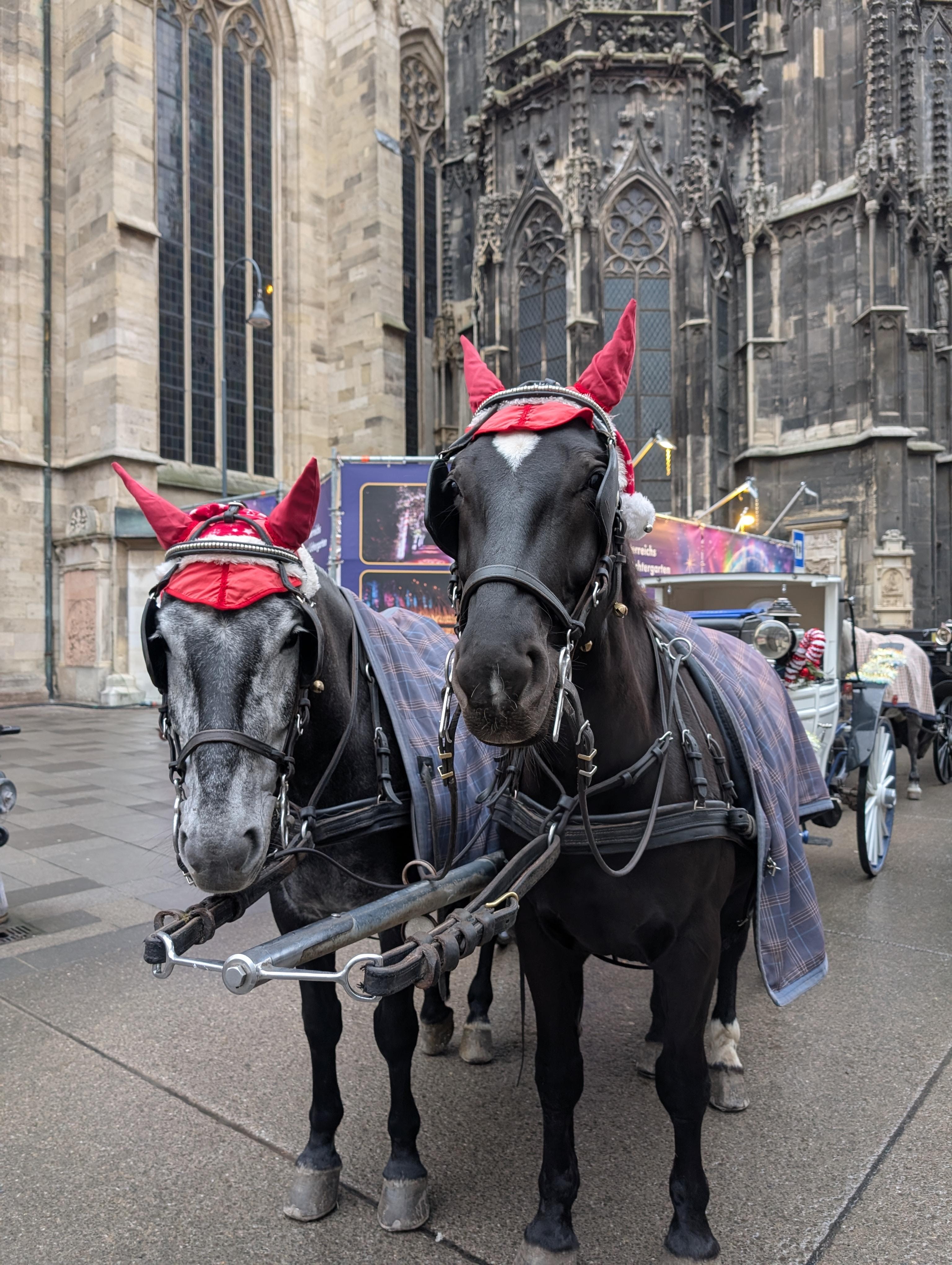 Fabulous attractions