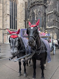 Fabulous attractions