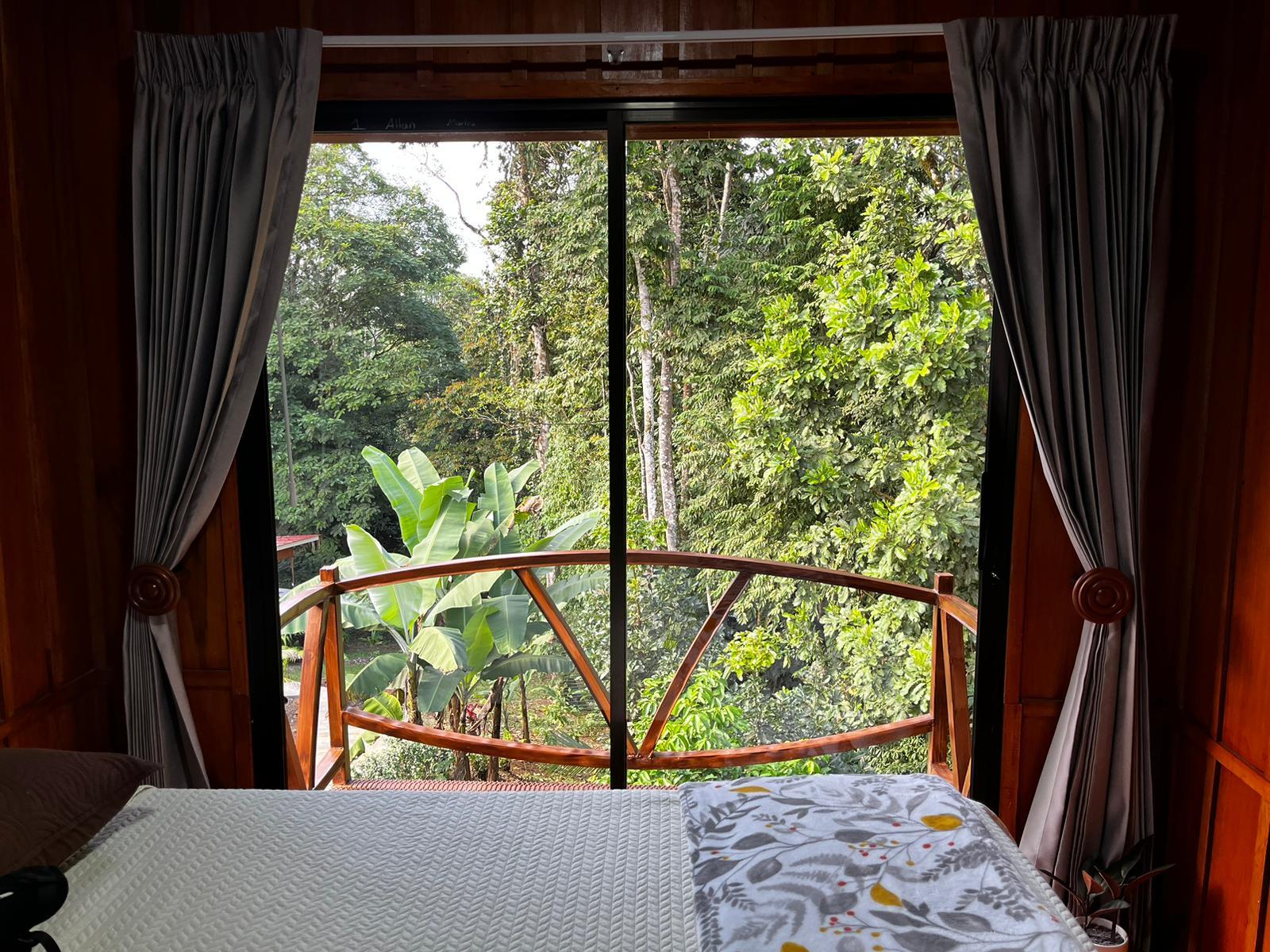 View from one of the bedrooms. Seen a lot of nice birds and could hear holler monkeys.