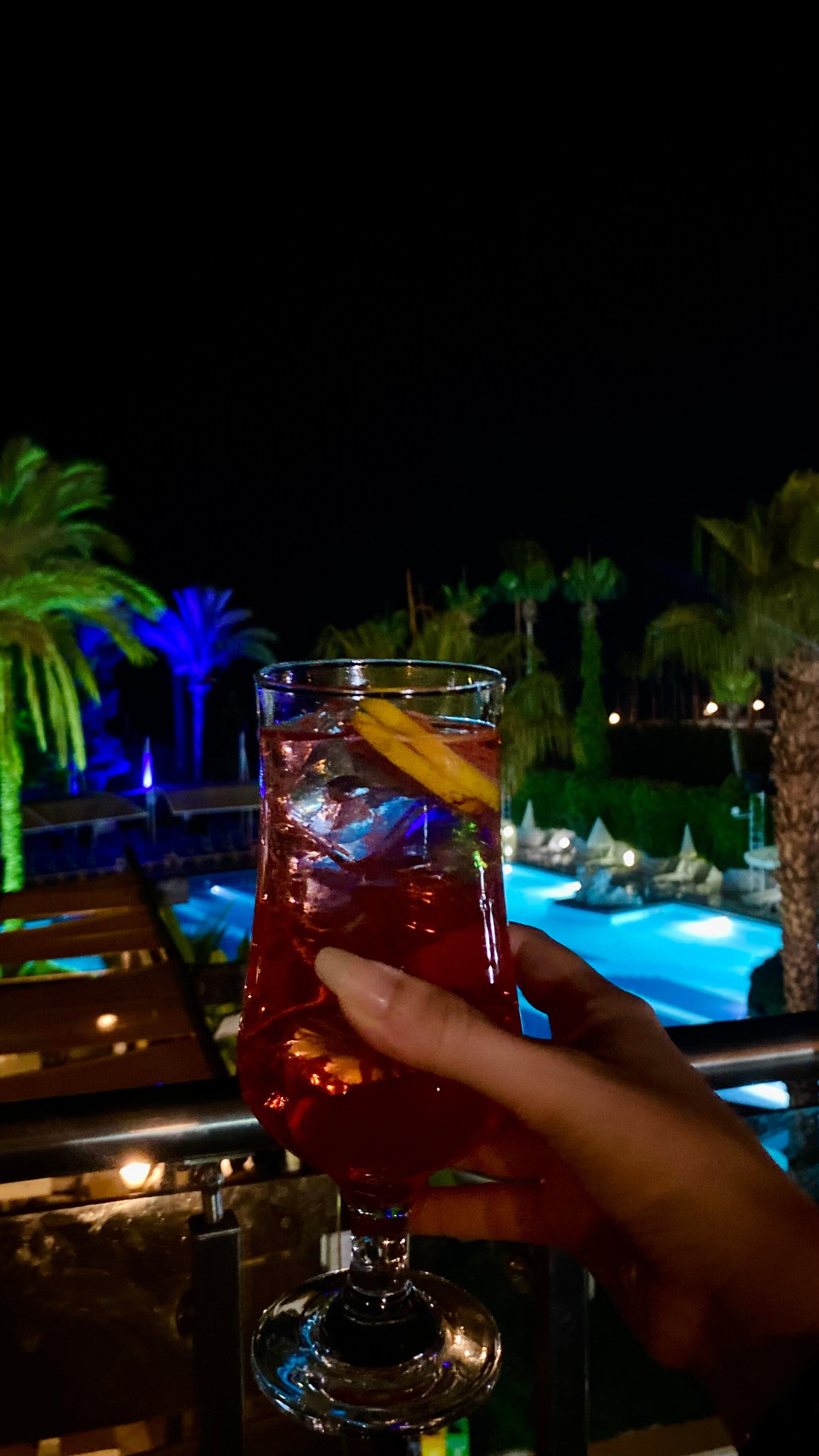 Vue depuis la terrasse du lobby. 