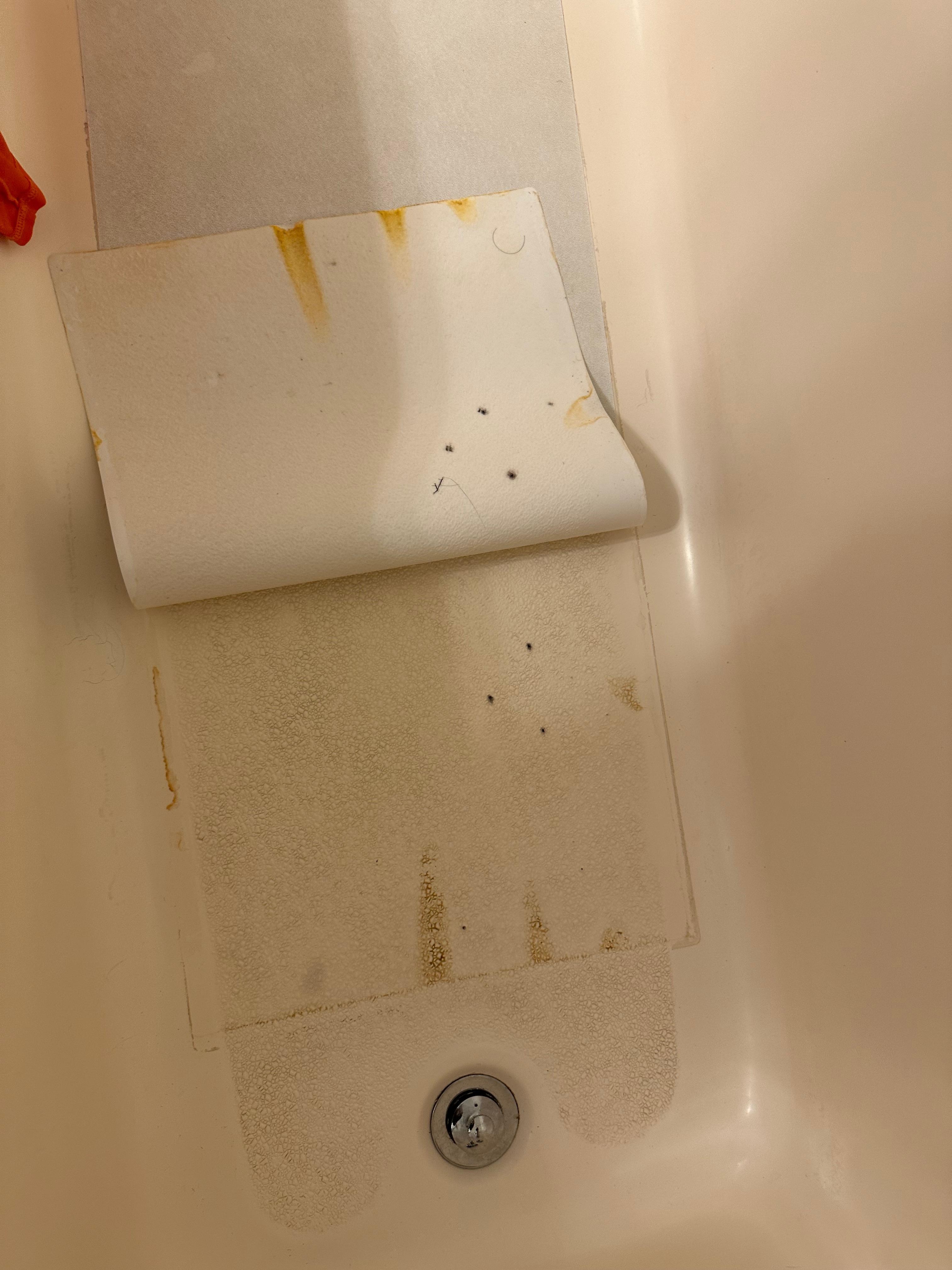 Dirty/moldy? Under the bath mat. 