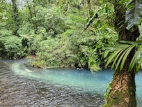 Rio Celeste and Rio Buenavista merge in the national park.