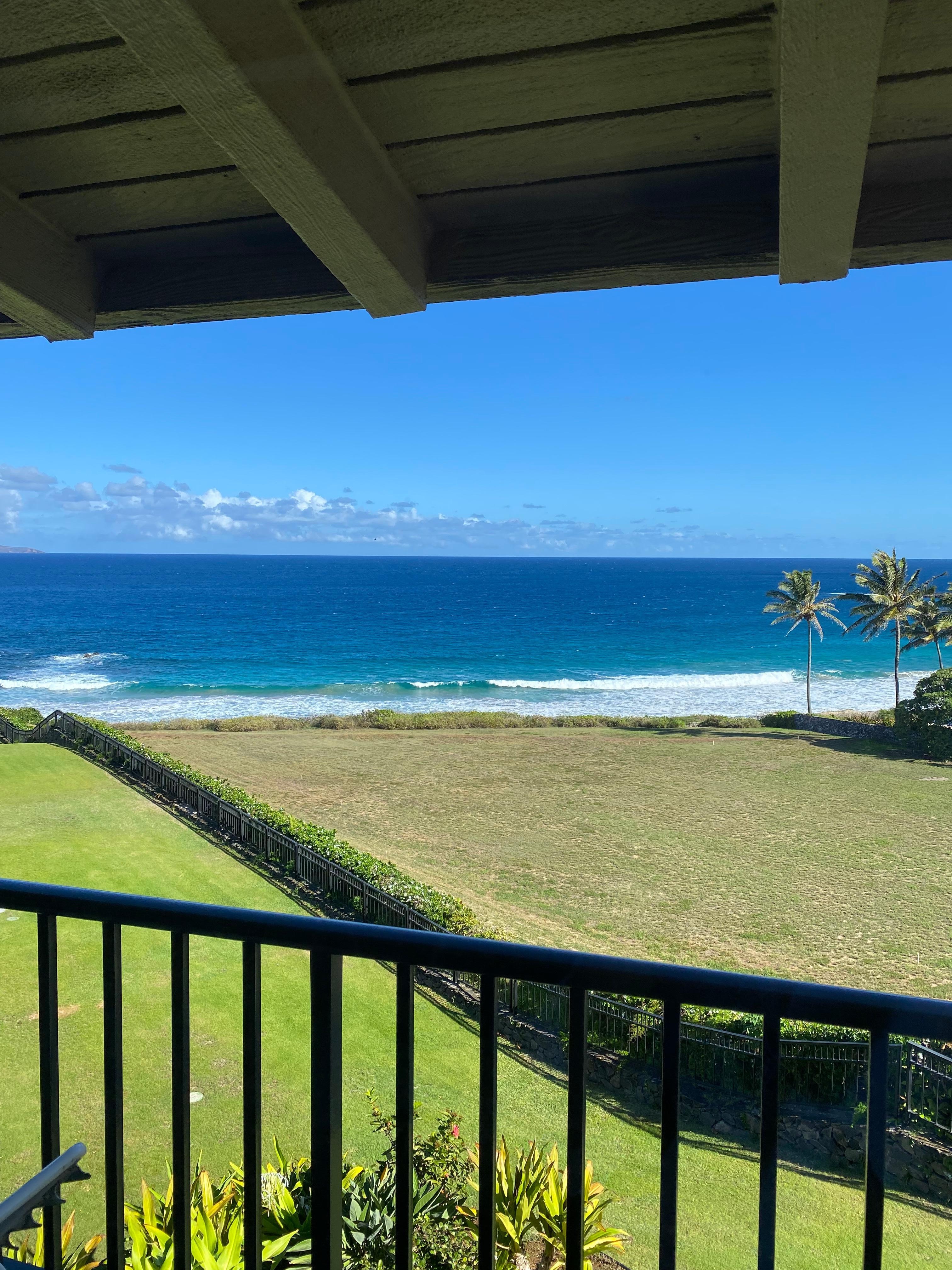 View from kitchen dining room