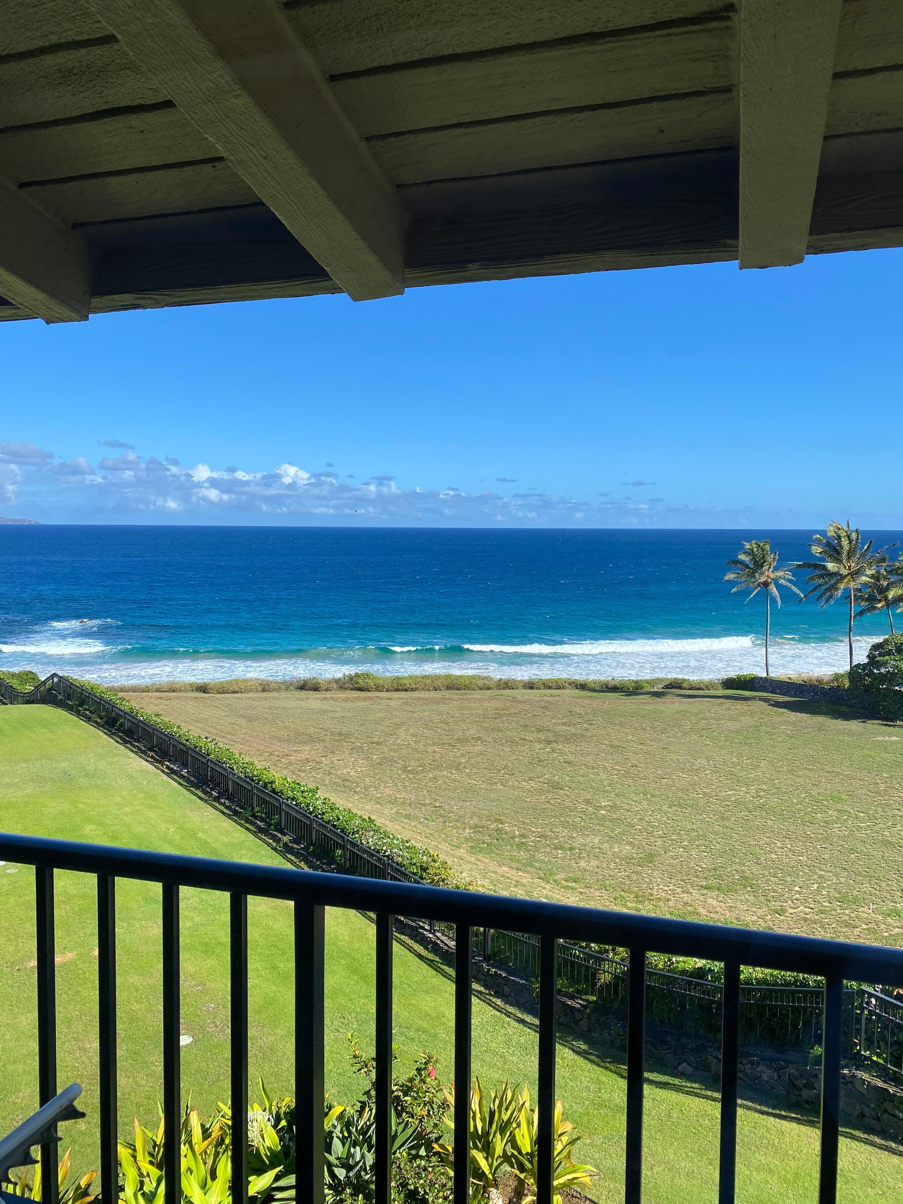 View from kitchen dining  room