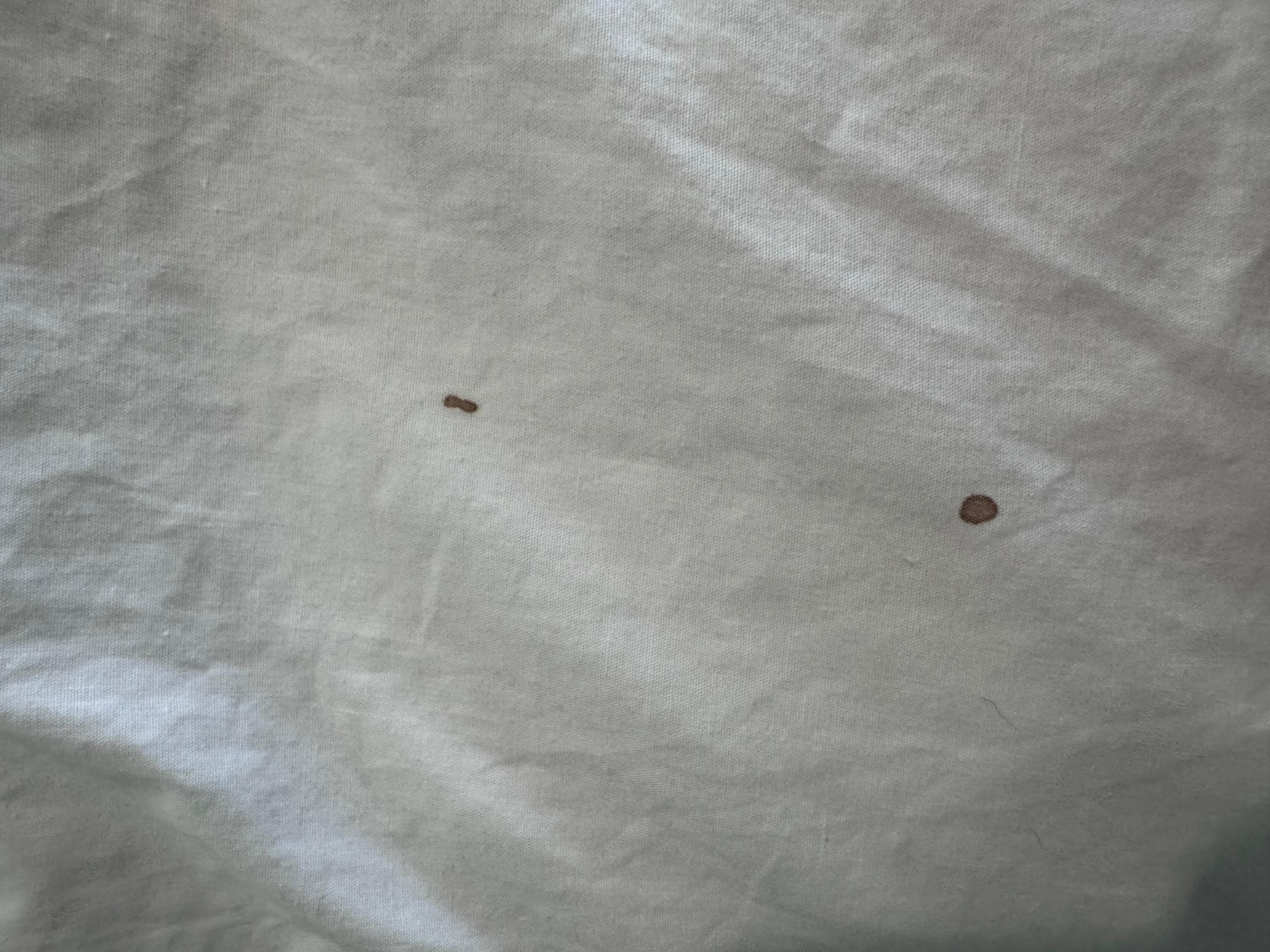 Blood stains on the pillows