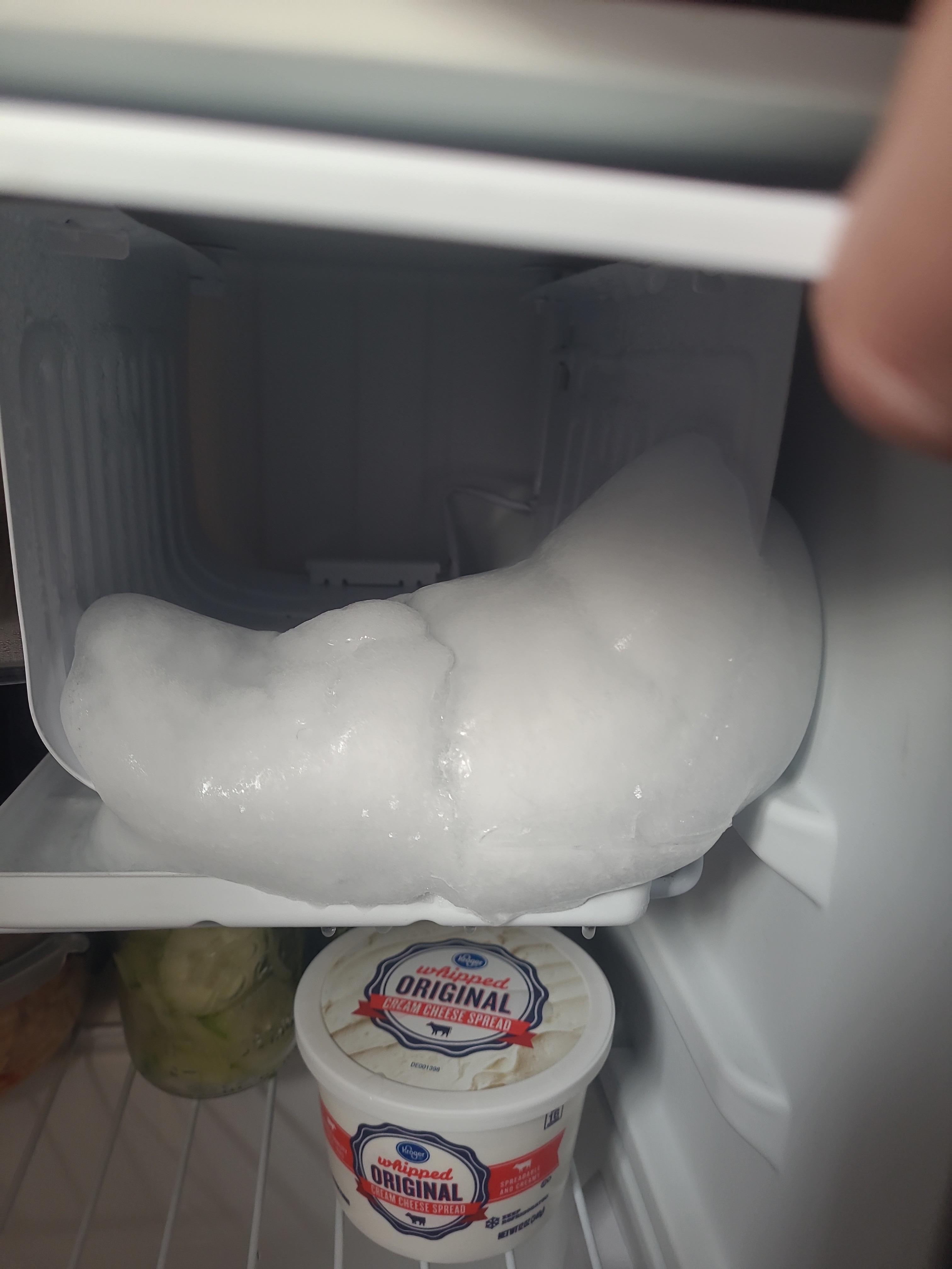 Frost. Filled mini fridge 