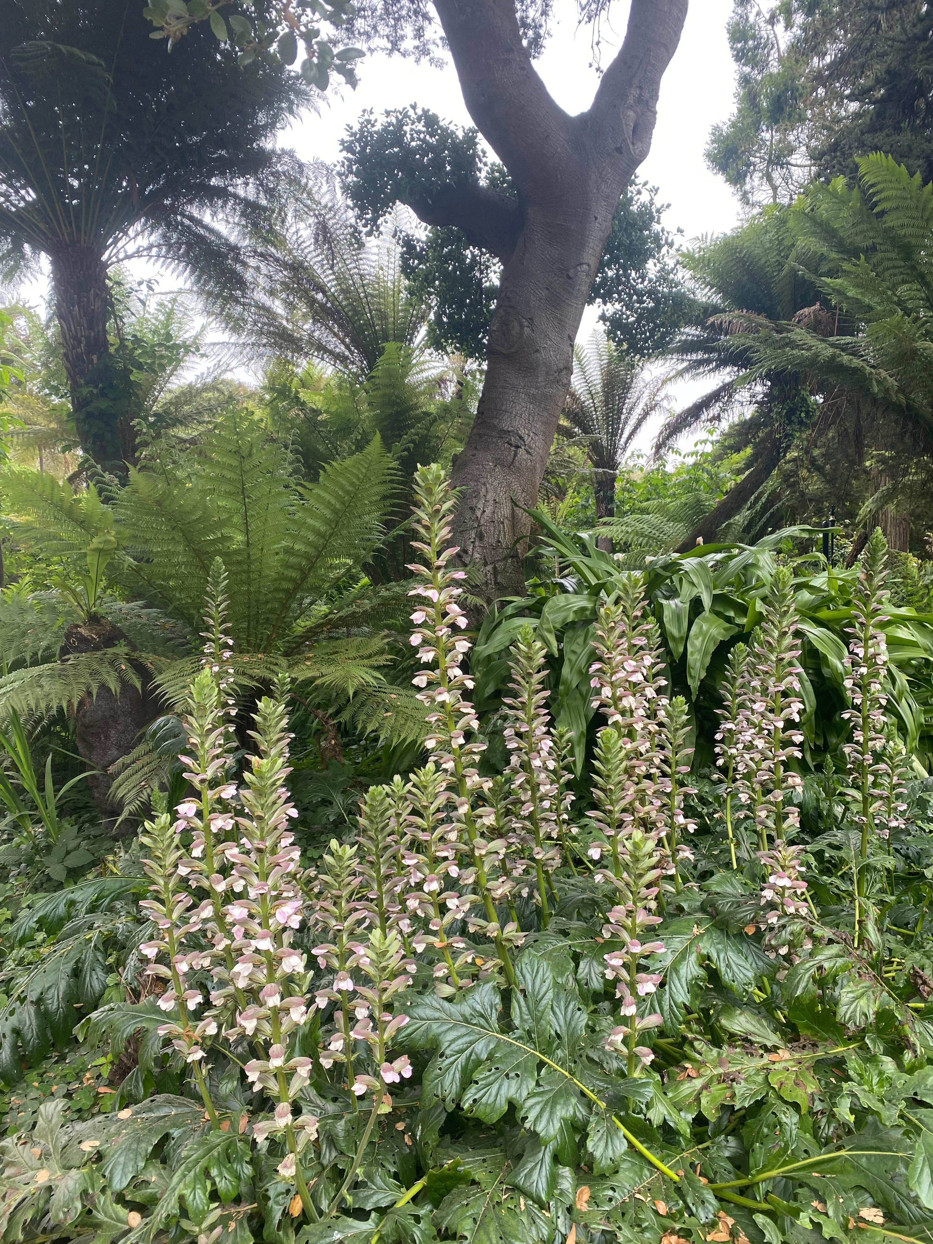 Golden Gate Park