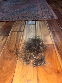 After we swept the floor