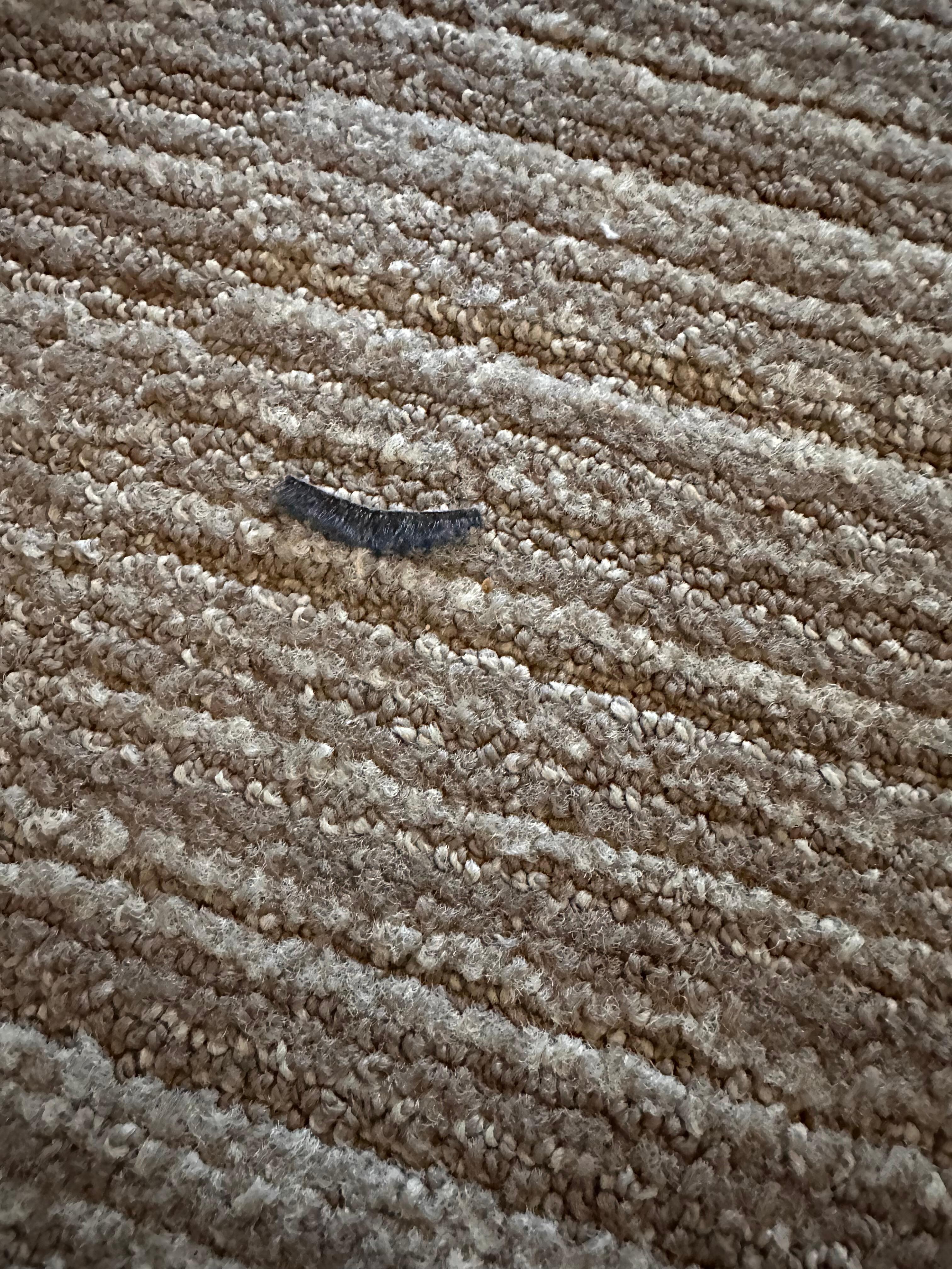 Picture of used fake eyelash found on carpet.