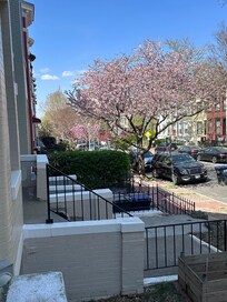 Quaint neighborhood!