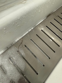 Hairs in shower grate from
Previous guest