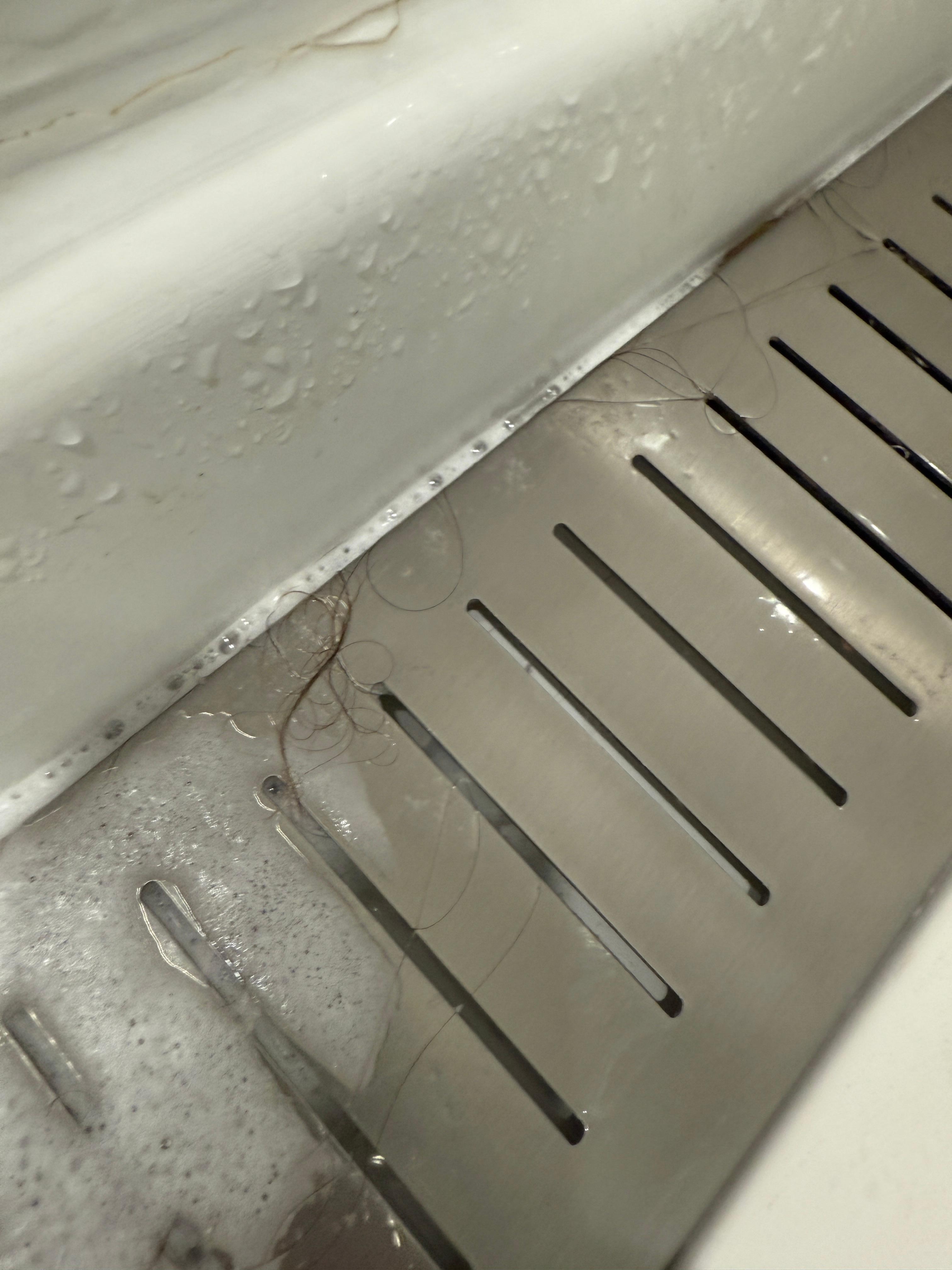 Hairs in shower grate from
Previous guest