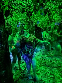 Butterfly Palace Mirror Maze